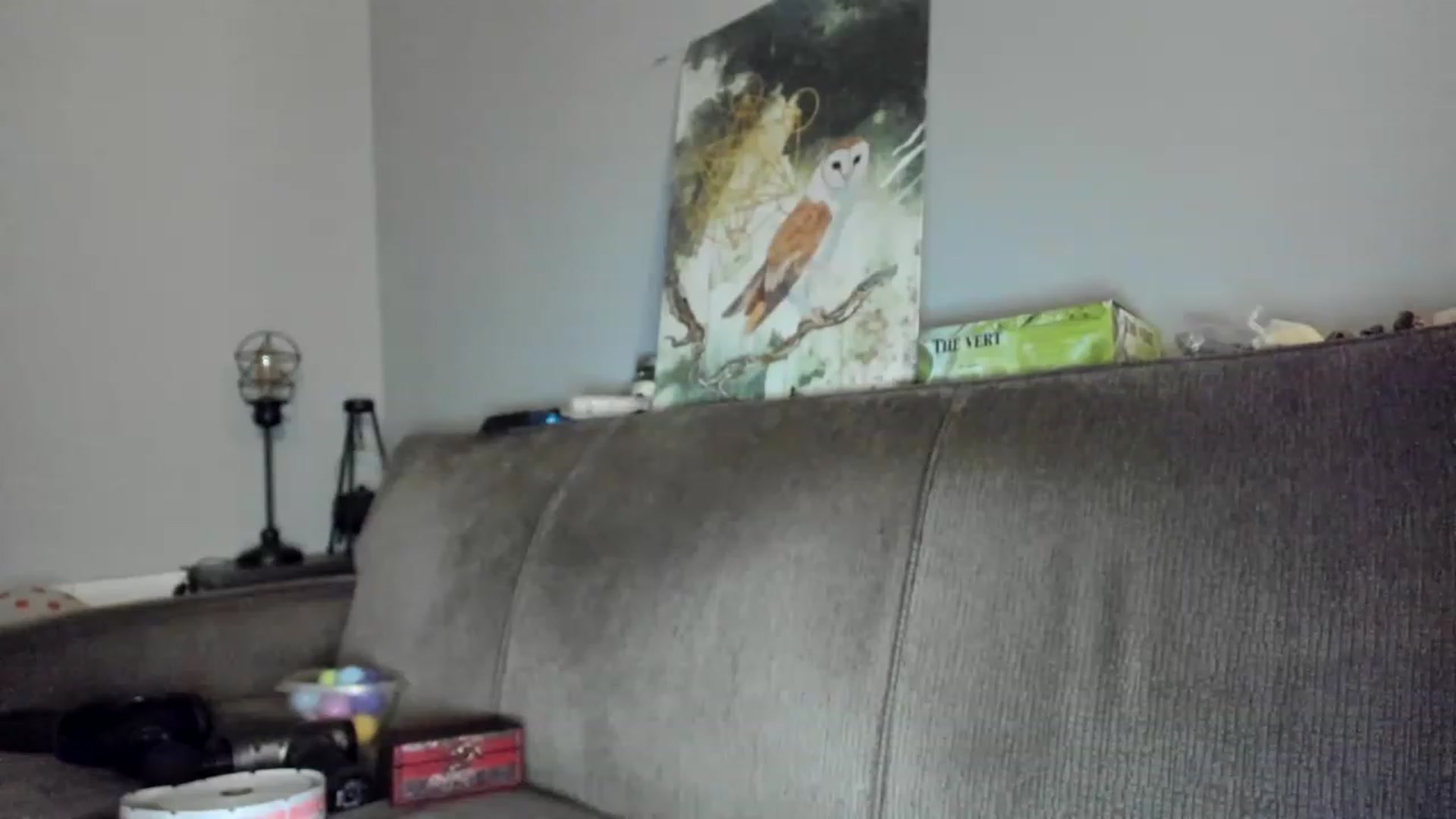 Gallery image thumbnail from Laurel's myfreecams stream on, 04/05/2023, 04:08 image 20 of 20