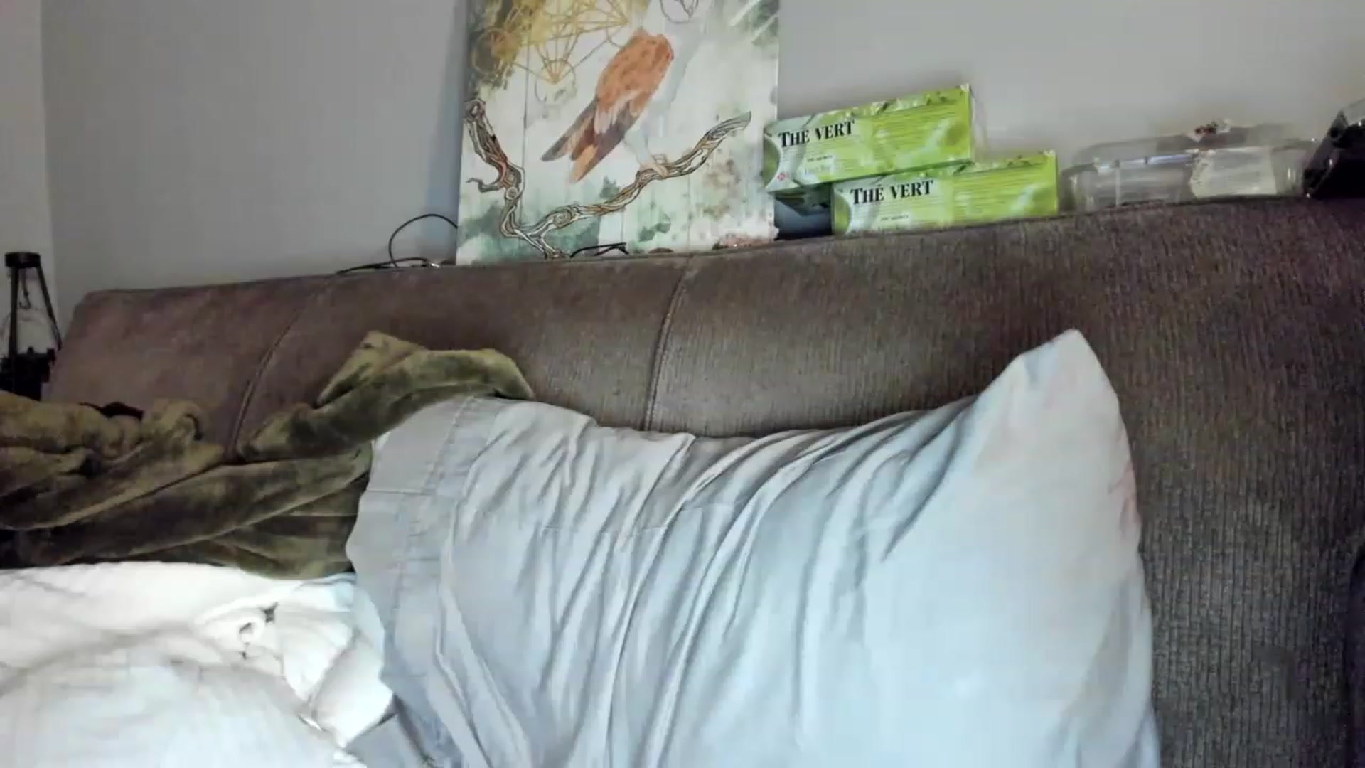 Gallery image thumbnail from Laurel's myfreecams stream on, 05/04/2023, 01:09 image 11 of 20