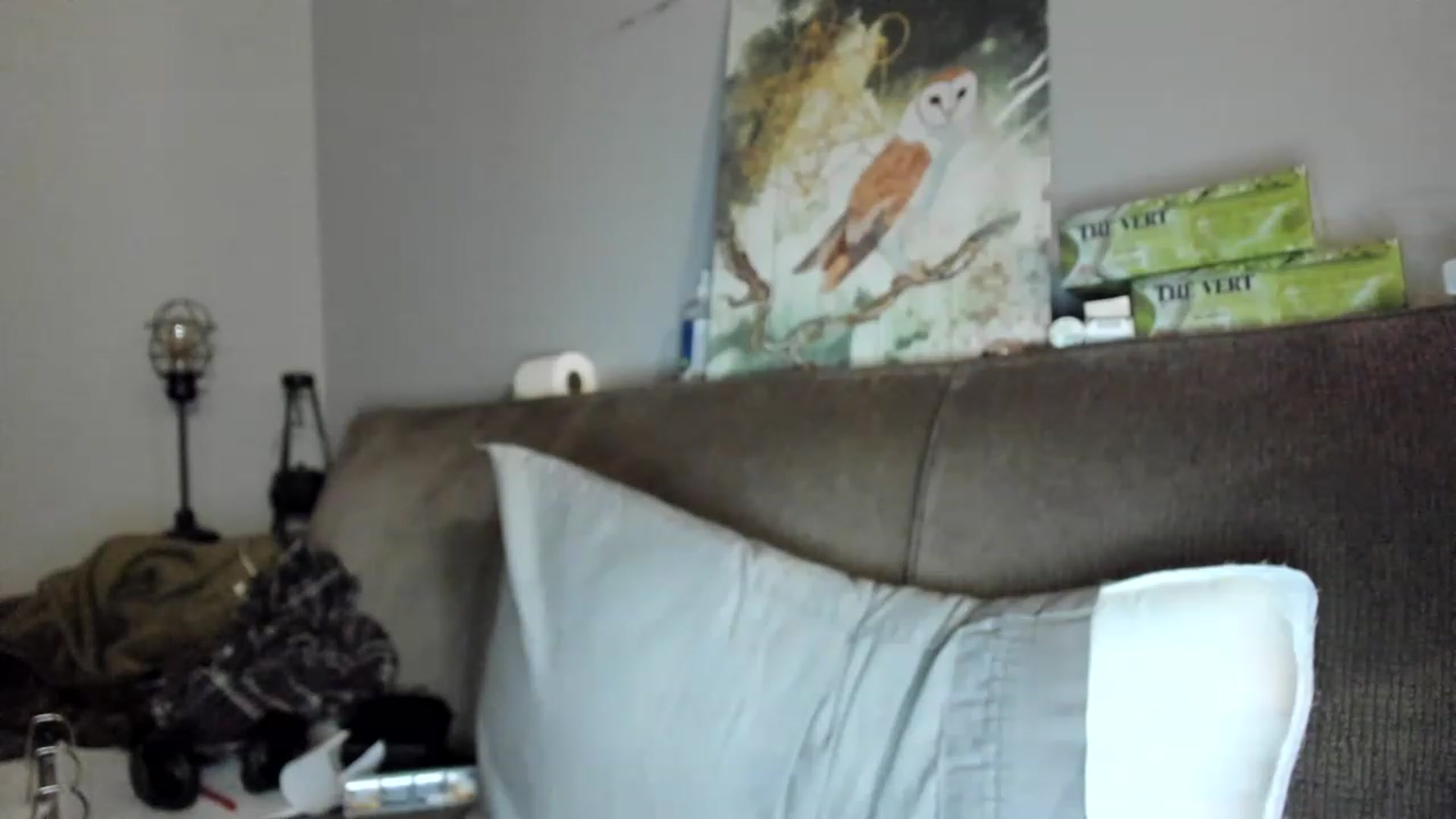 Gallery image thumbnail from Laurel's myfreecams stream on, 05/10/2023, 03:44 image 12 of 20