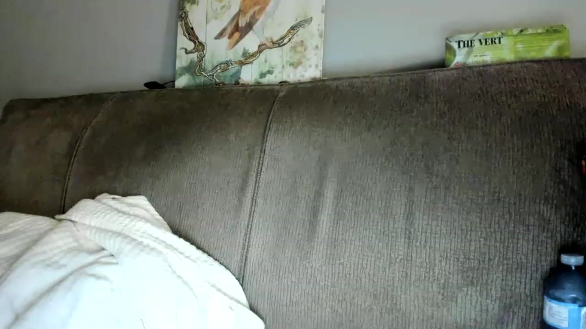 Gallery image thumbnail from Laurel's myfreecams stream on, 05/18/2023, 07:04 image 12 of 20