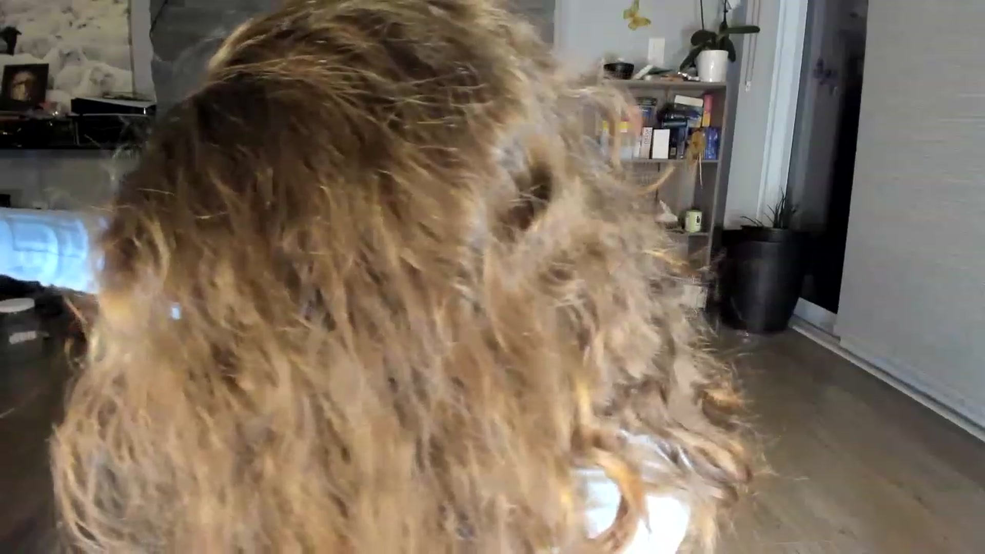 Gallery image thumbnail from Laurel's myfreecams stream on, 06/29/2023, 08:36 image 18 of 20