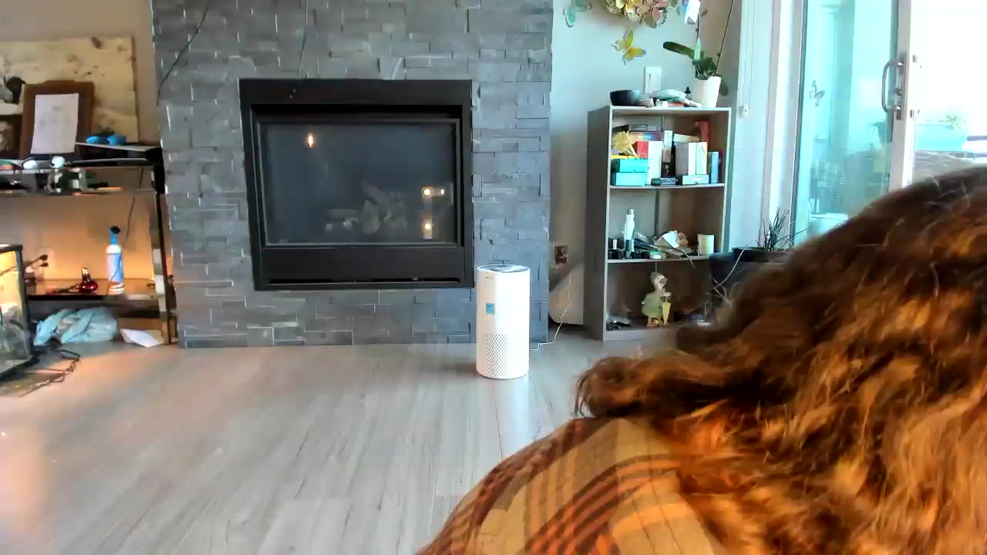 Gallery image thumbnail from Laurel's myfreecams stream on, 07/22/2023, 13:09 image 16 of 20