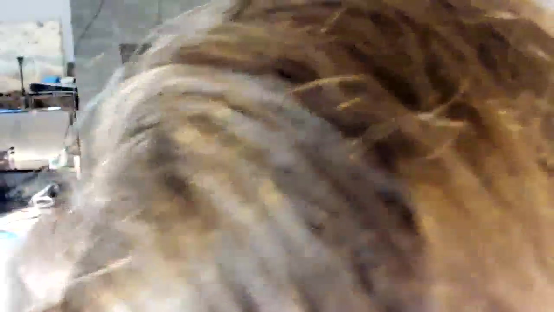 Gallery image thumbnail from Laurel's myfreecams stream on, 08/07/2023, 09:07 image 19 of 20