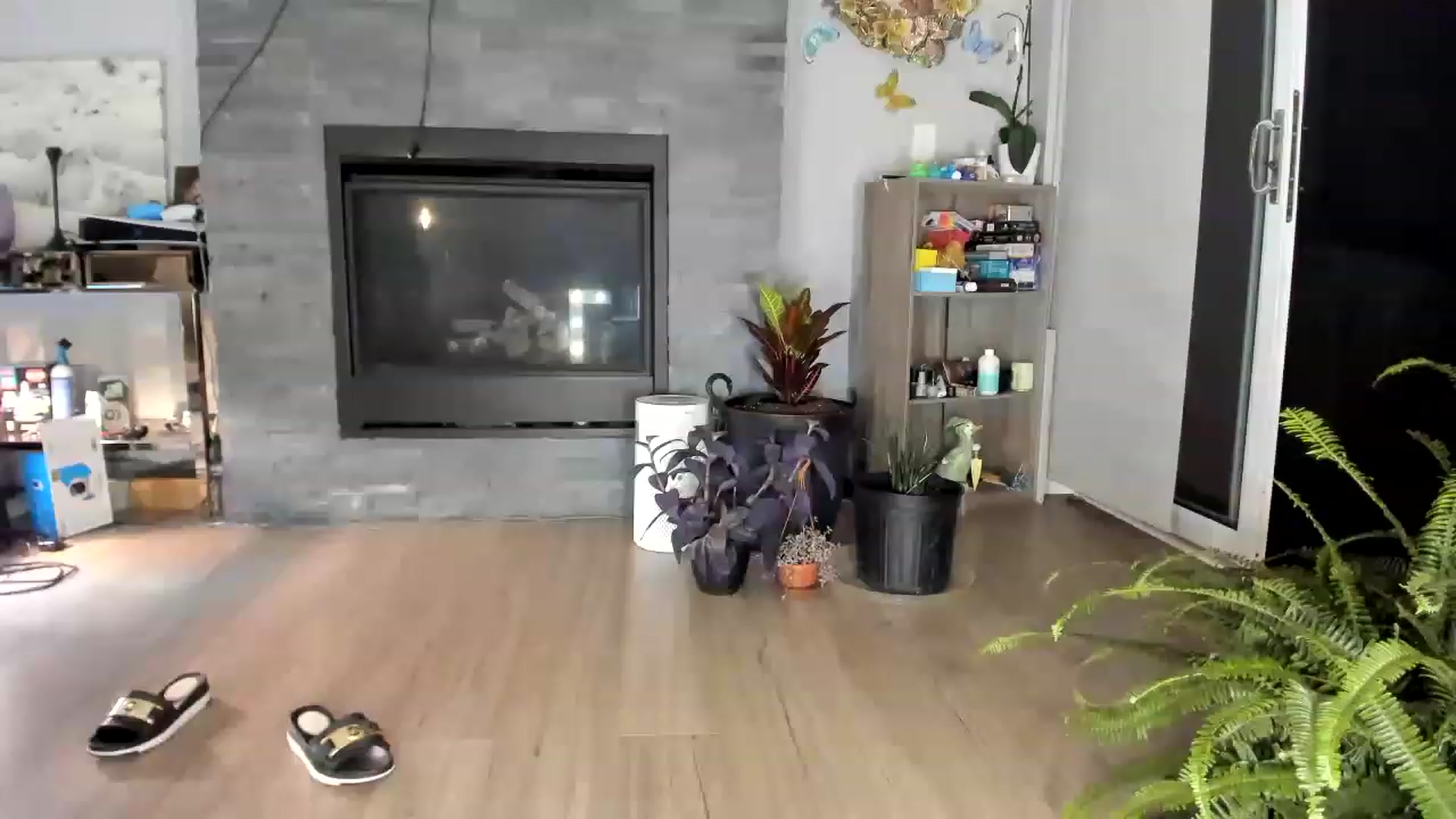 Gallery image thumbnail from Laurel's myfreecams stream on, 08/25/2023, 05:36 image 17 of 20
