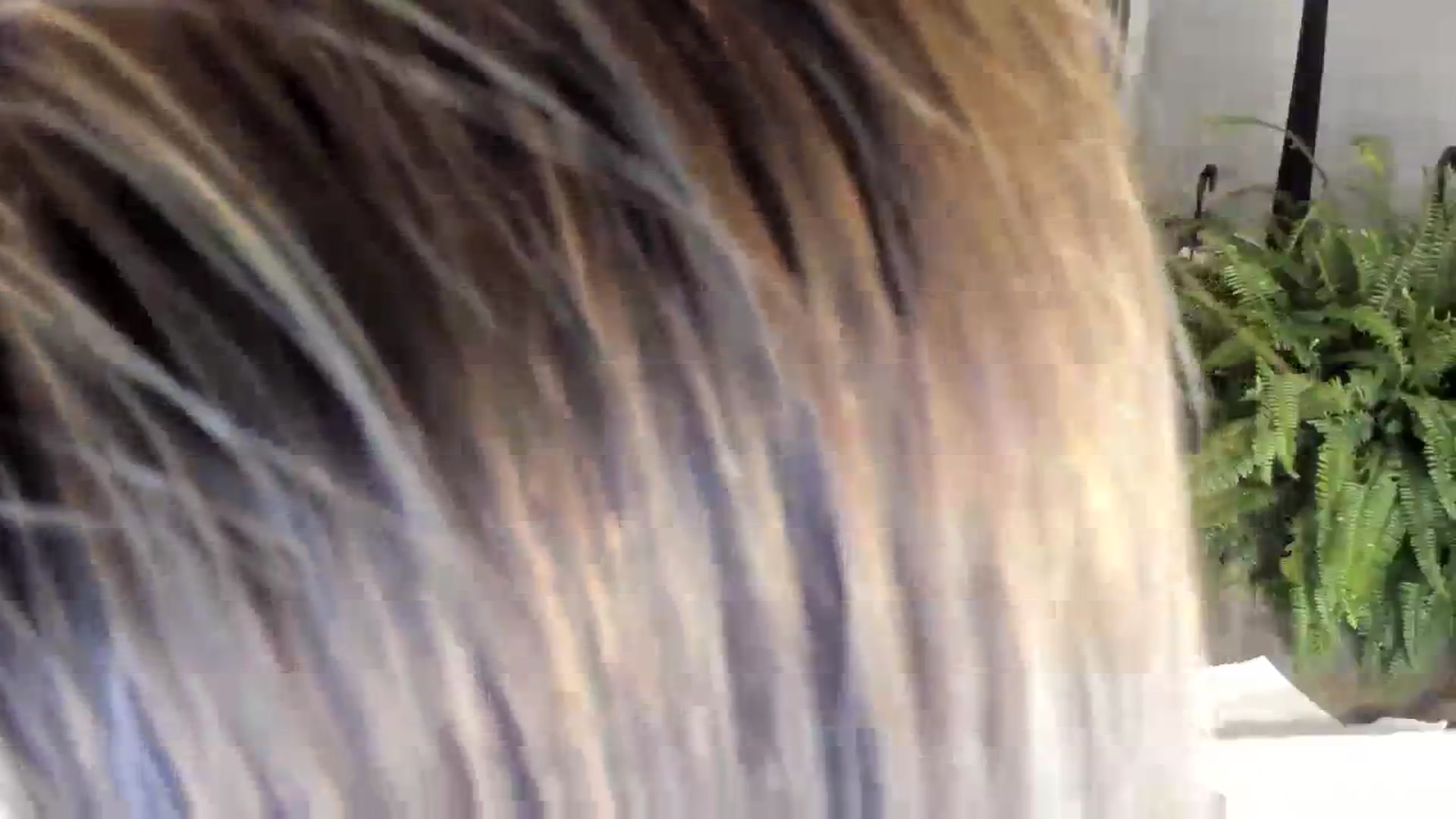 Gallery image thumbnail from Laurel's myfreecams stream on, 08/28/2023, 10:10 image 4 of 20