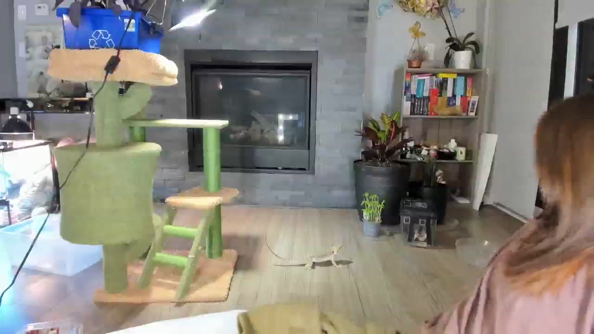 Gallery image thumbnail from Laurel's myfreecams stream on, 10/07/2023, 08:16 image 8 of 20