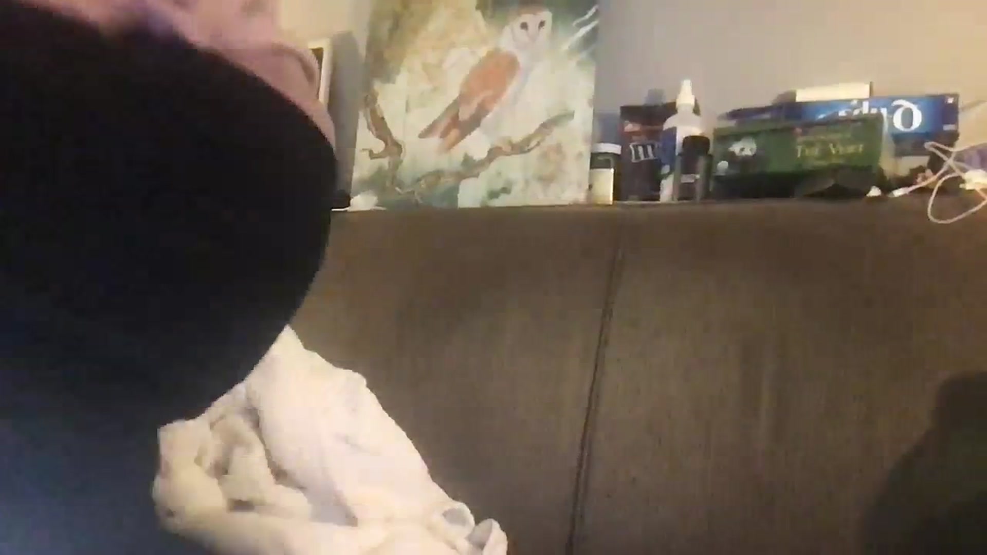 Gallery image thumbnail from Laurel's myfreecams stream on, 10/19/2023, 06:41 image 14 of 20