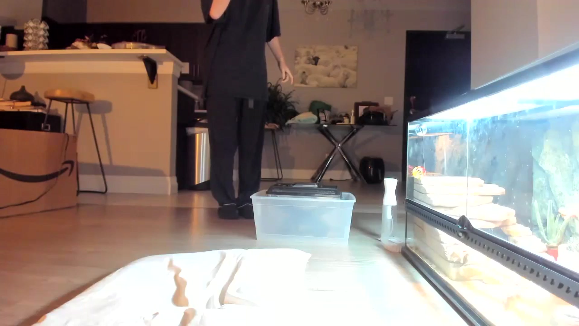 Gallery image thumbnail from Laurel's myfreecams stream on, 10/30/2023, 08:20 image 18 of 20
