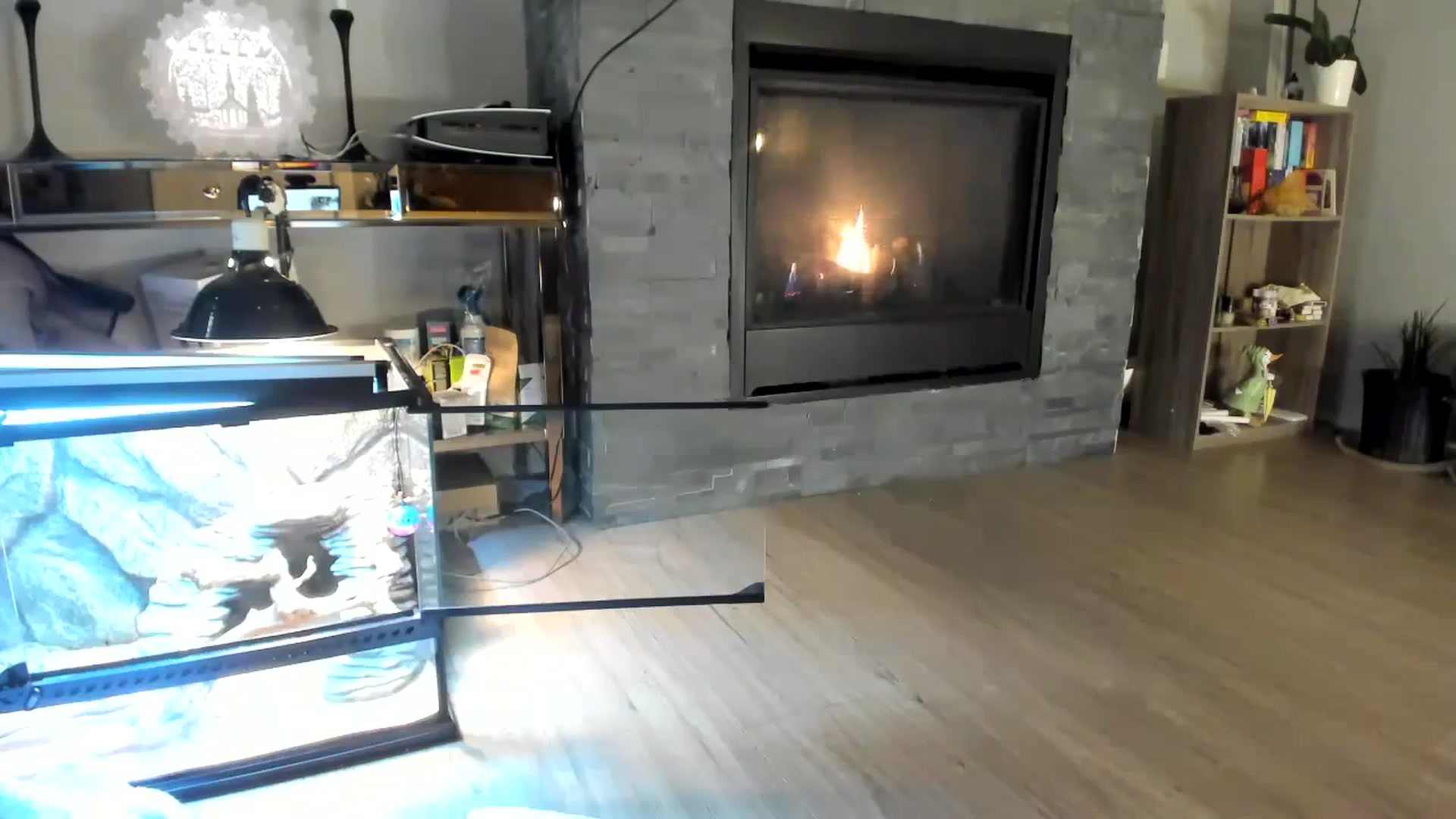 Gallery image thumbnail from Laurel's myfreecams stream on, 11/05/2023, 05:13 image 11 of 20
