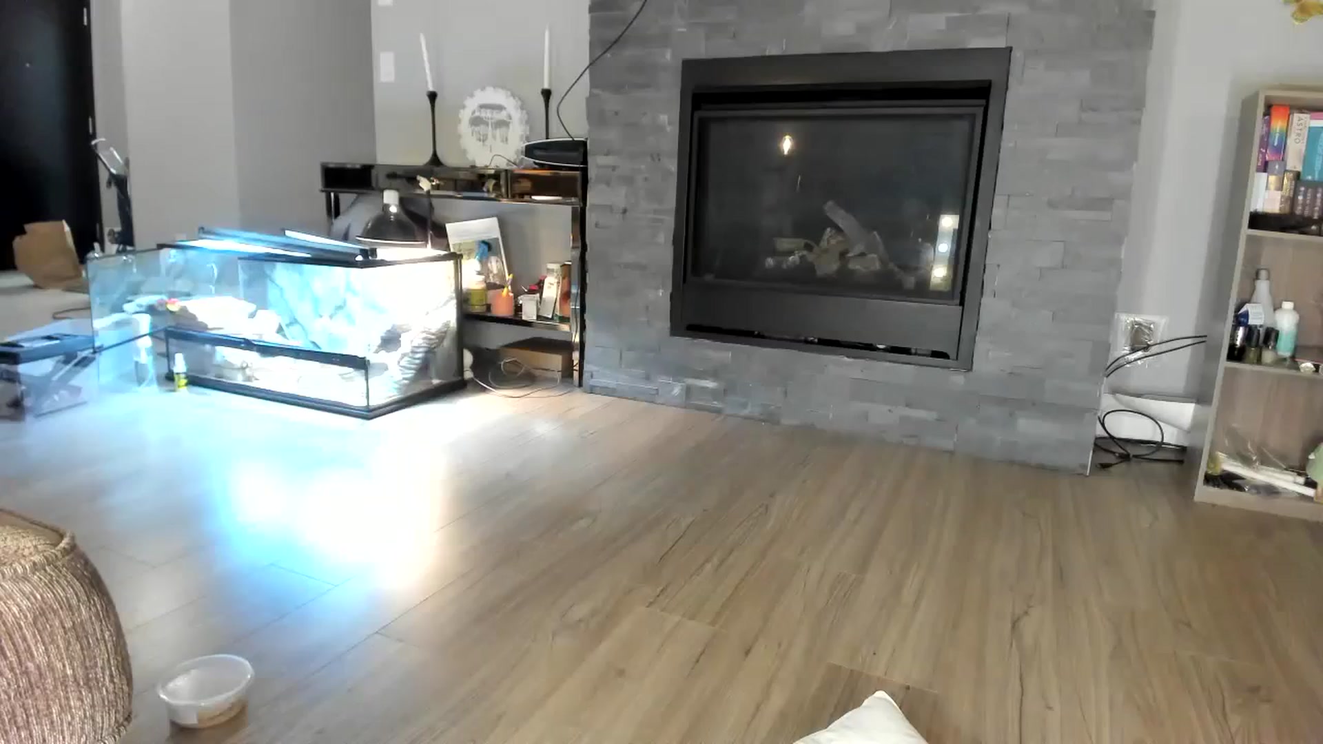 Gallery image thumbnail from Laurel's myfreecams stream on, 11/05/2023, 09:16 image 15 of 20