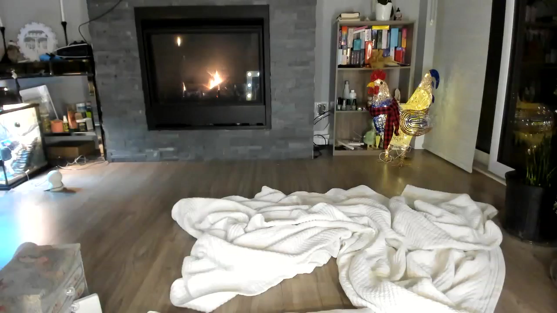 Gallery image thumbnail from Laurel's myfreecams stream on, 11/14/2023, 09:29 image 19 of 20