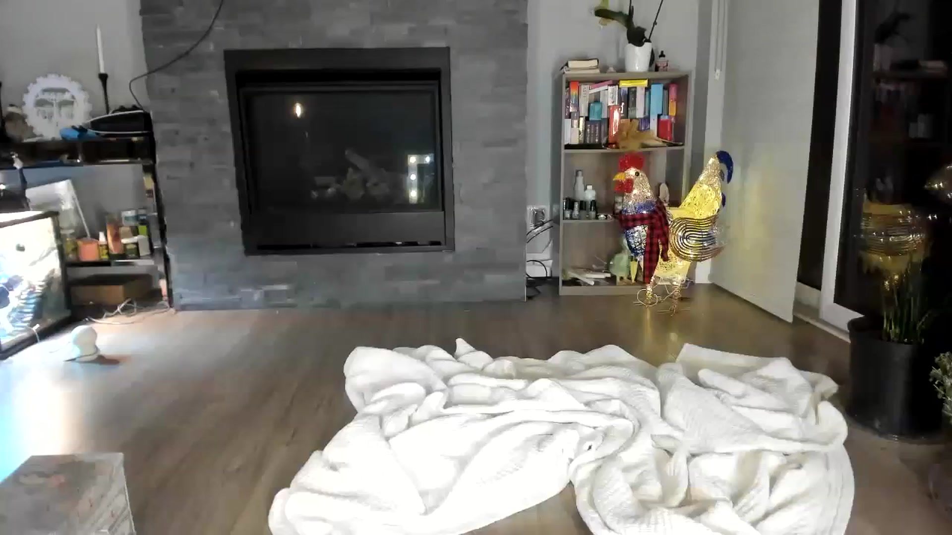Gallery image thumbnail from Laurel's myfreecams stream on, 11/14/2023, 10:13 image 1 of 20