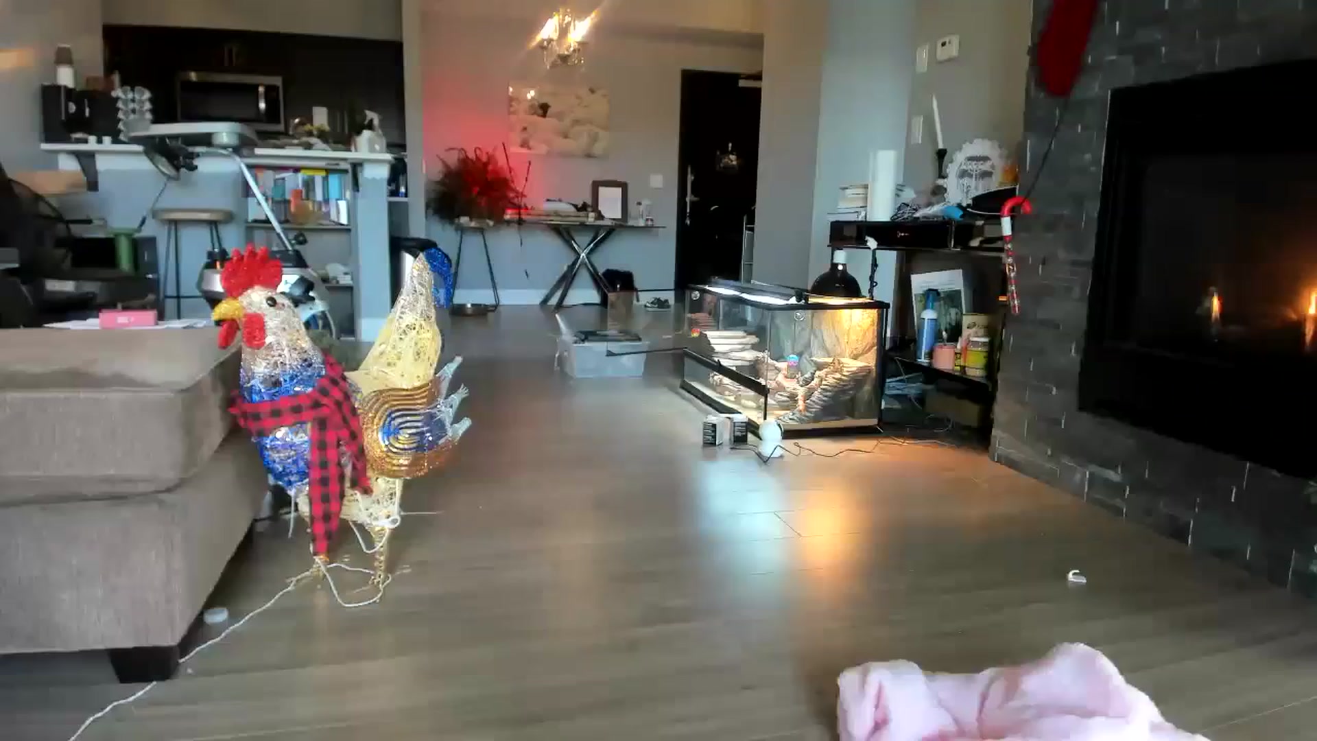Gallery image thumbnail from Laurel's myfreecams stream on, 11/24/2023, 18:59 image 7 of 20