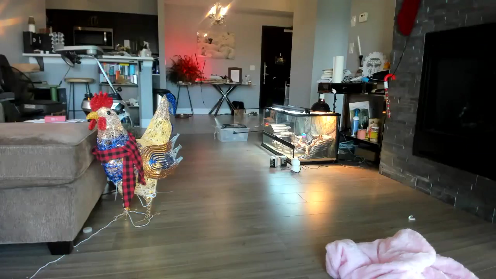 Gallery image thumbnail from Laurel's myfreecams stream on, 11/24/2023, 20:16 image 6 of 20