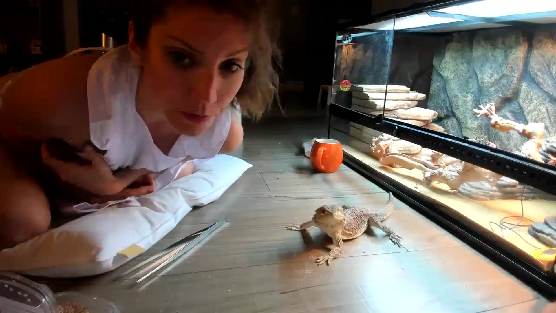 Gallery image thumbnail from Laurel's myfreecams stream on, 11/30/2023, 04:44 image 19 of 20