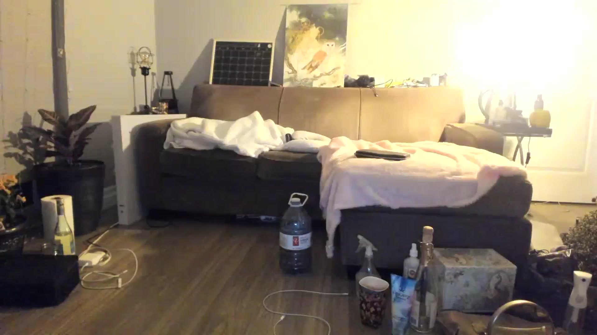 Gallery image thumbnail from Laurel's myfreecams stream on, 12/02/2023, 05:13 image 19 of 20