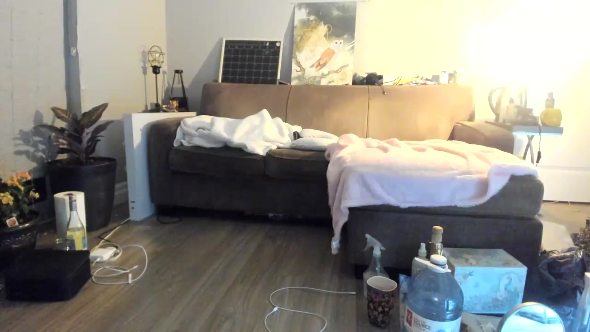 Gallery image thumbnail from Laurel's myfreecams stream on, 12/02/2023, 05:13 image 13 of 20