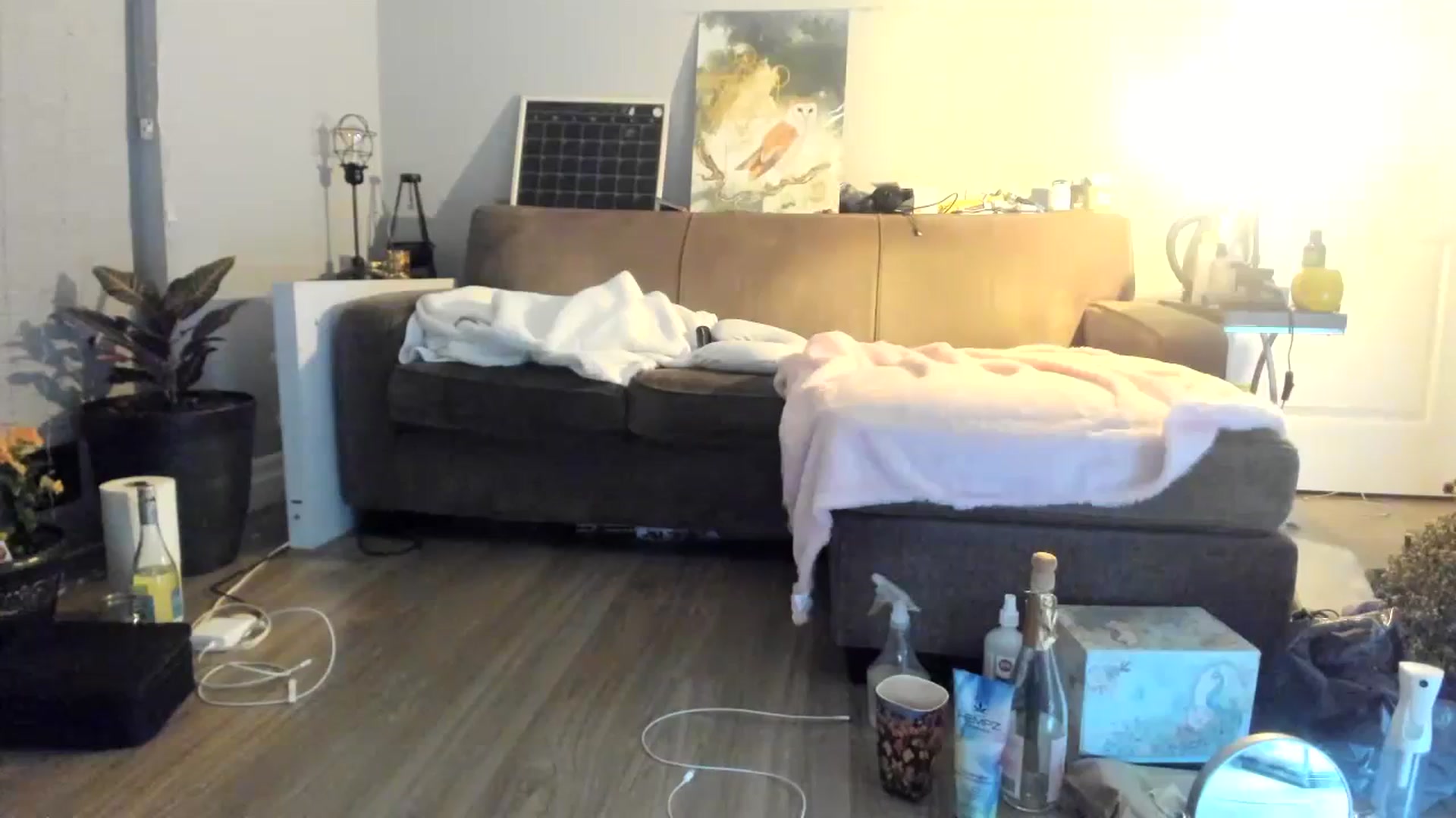 Gallery image thumbnail from Laurel's myfreecams stream on, 12/02/2023, 05:13 image 18 of 20