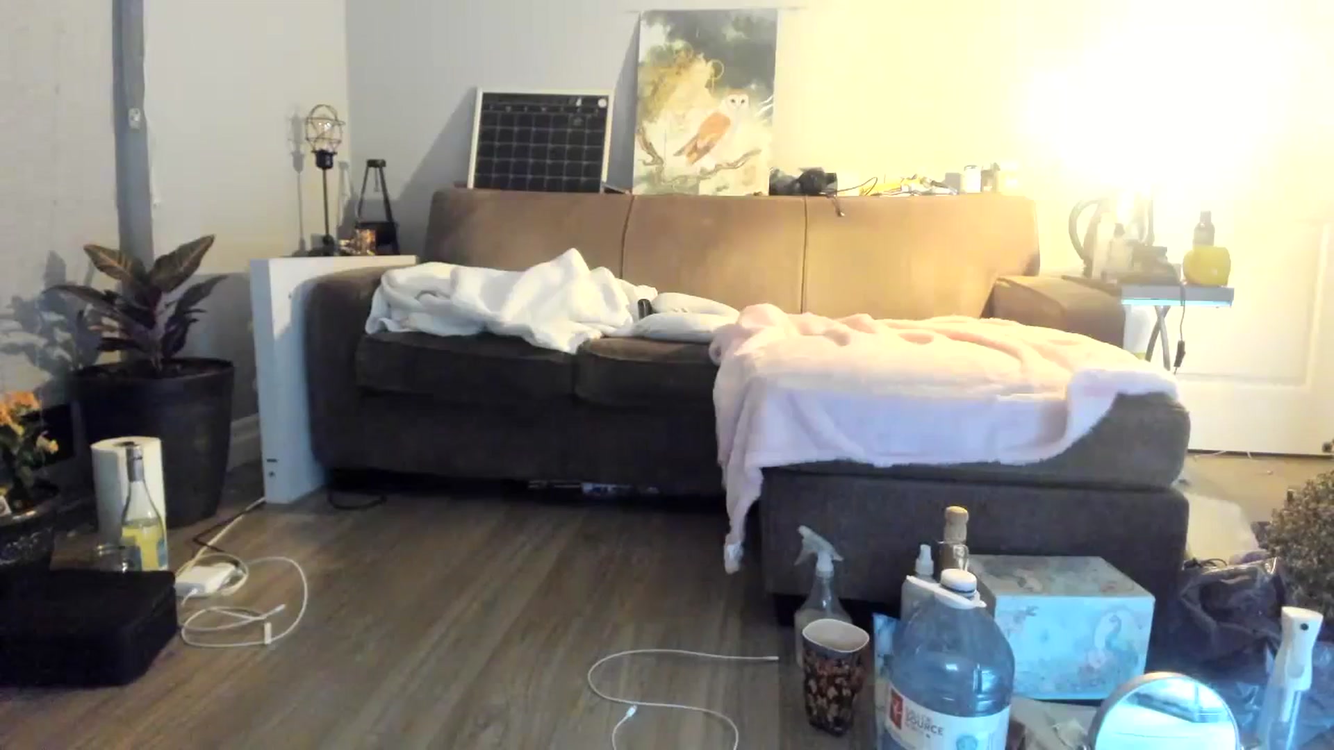 Gallery image thumbnail from Laurel's myfreecams stream on, 12/02/2023, 05:13 image 17 of 20
