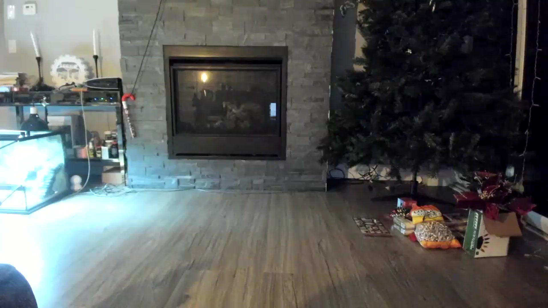 Gallery image thumbnail from Laurel's myfreecams stream on, 12/02/2023, 05:13 image 5 of 20