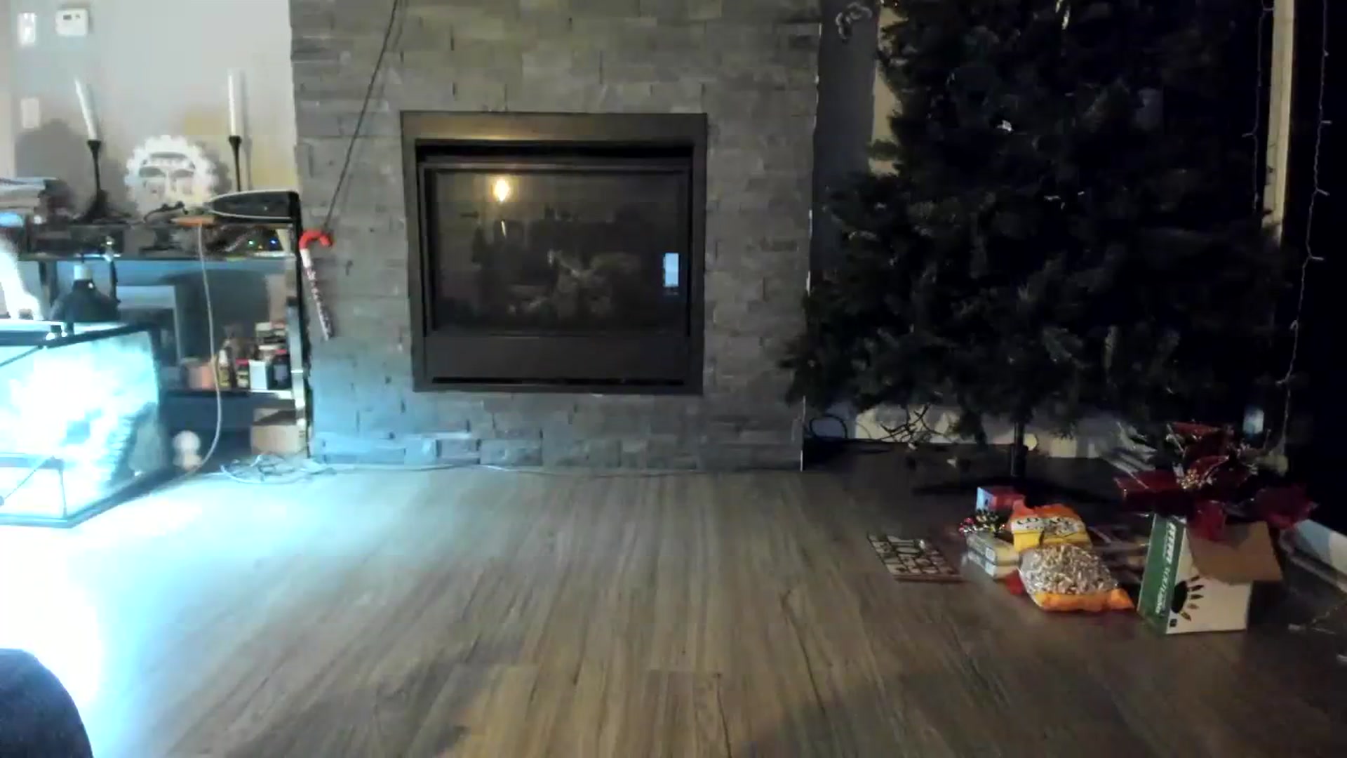 Gallery image thumbnail from Laurel's myfreecams stream on, 12/02/2023, 05:13 image 4 of 20