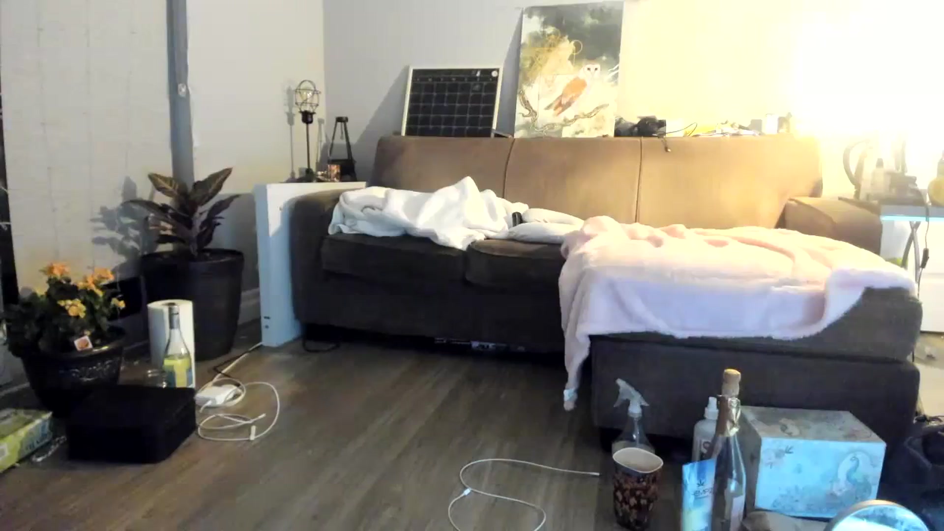 Gallery image thumbnail from Laurel's myfreecams stream on, 12/02/2023, 05:13 image 9 of 20