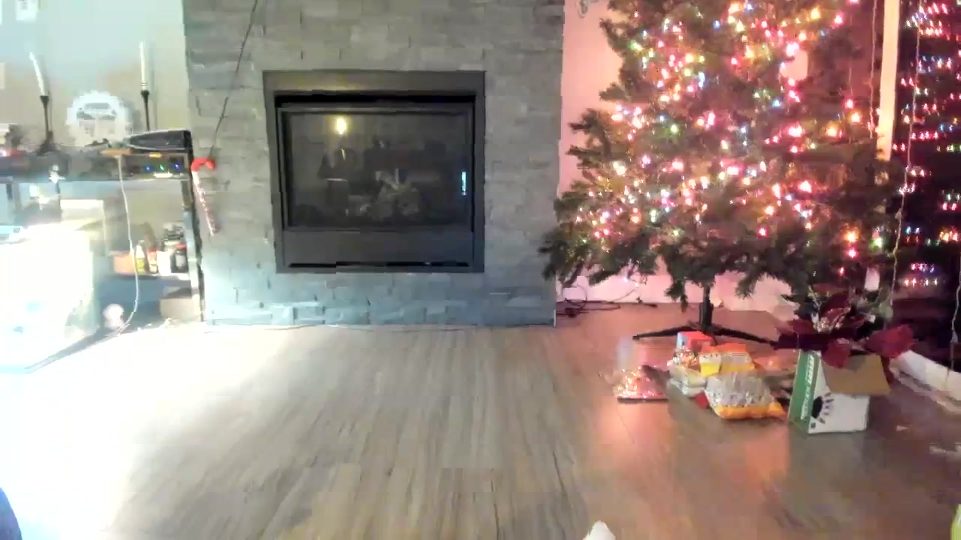 Gallery image thumbnail from Laurel's myfreecams stream on, 12/02/2023, 05:13 image 3 of 20