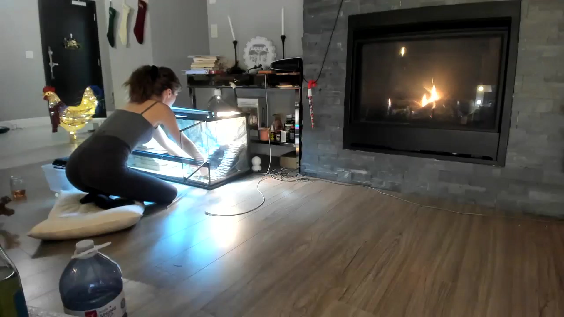 Gallery image thumbnail from Laurel's myfreecams stream on, 12/03/2023, 01:06 image 18 of 20