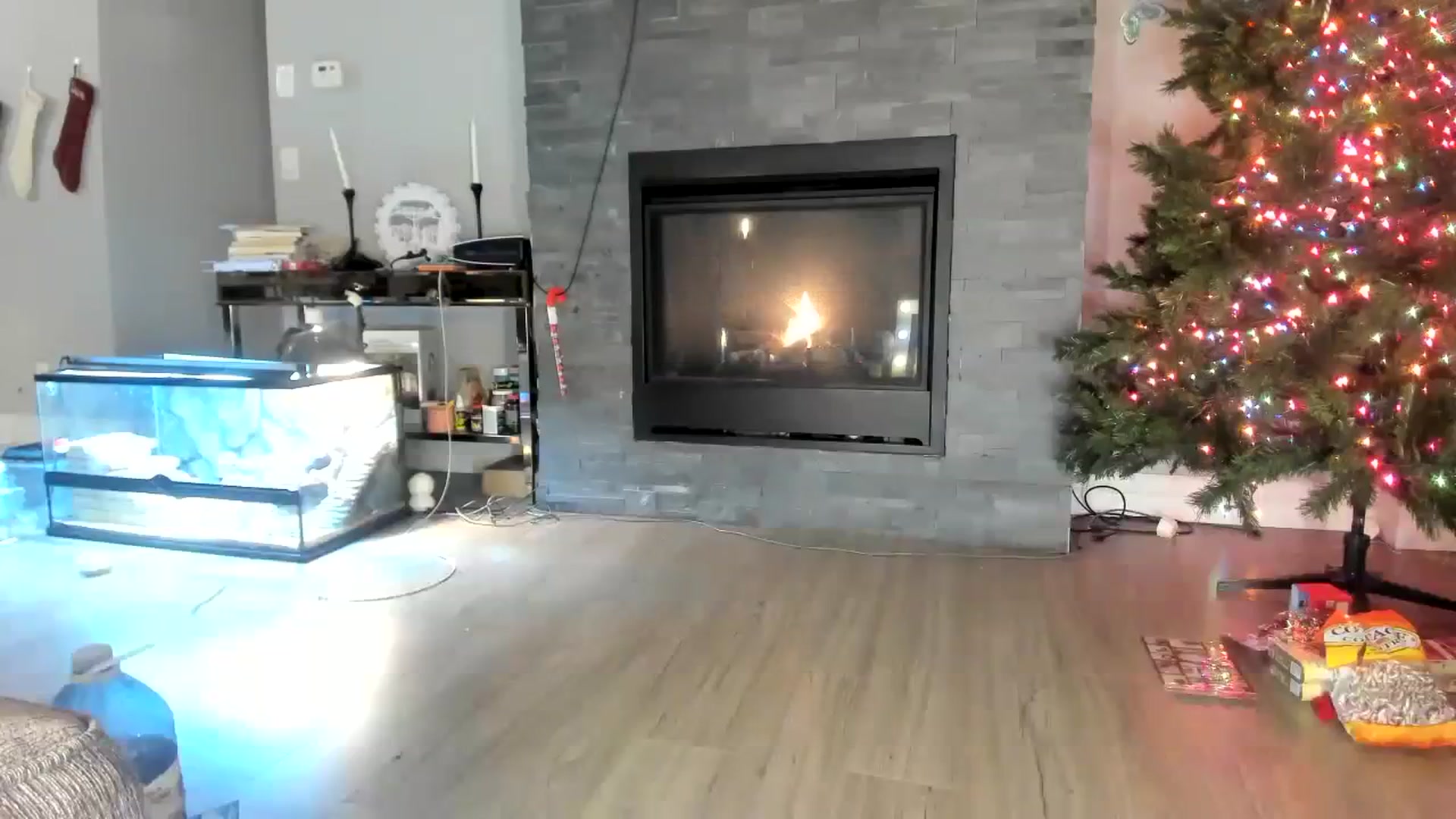 Gallery image thumbnail from Laurel's myfreecams stream on, 12/03/2023, 01:06 image 16 of 20