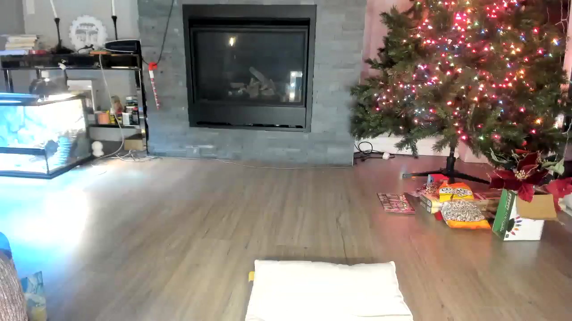 Gallery image thumbnail from Laurel's myfreecams stream on, 12/03/2023, 03:07 image 8 of 20