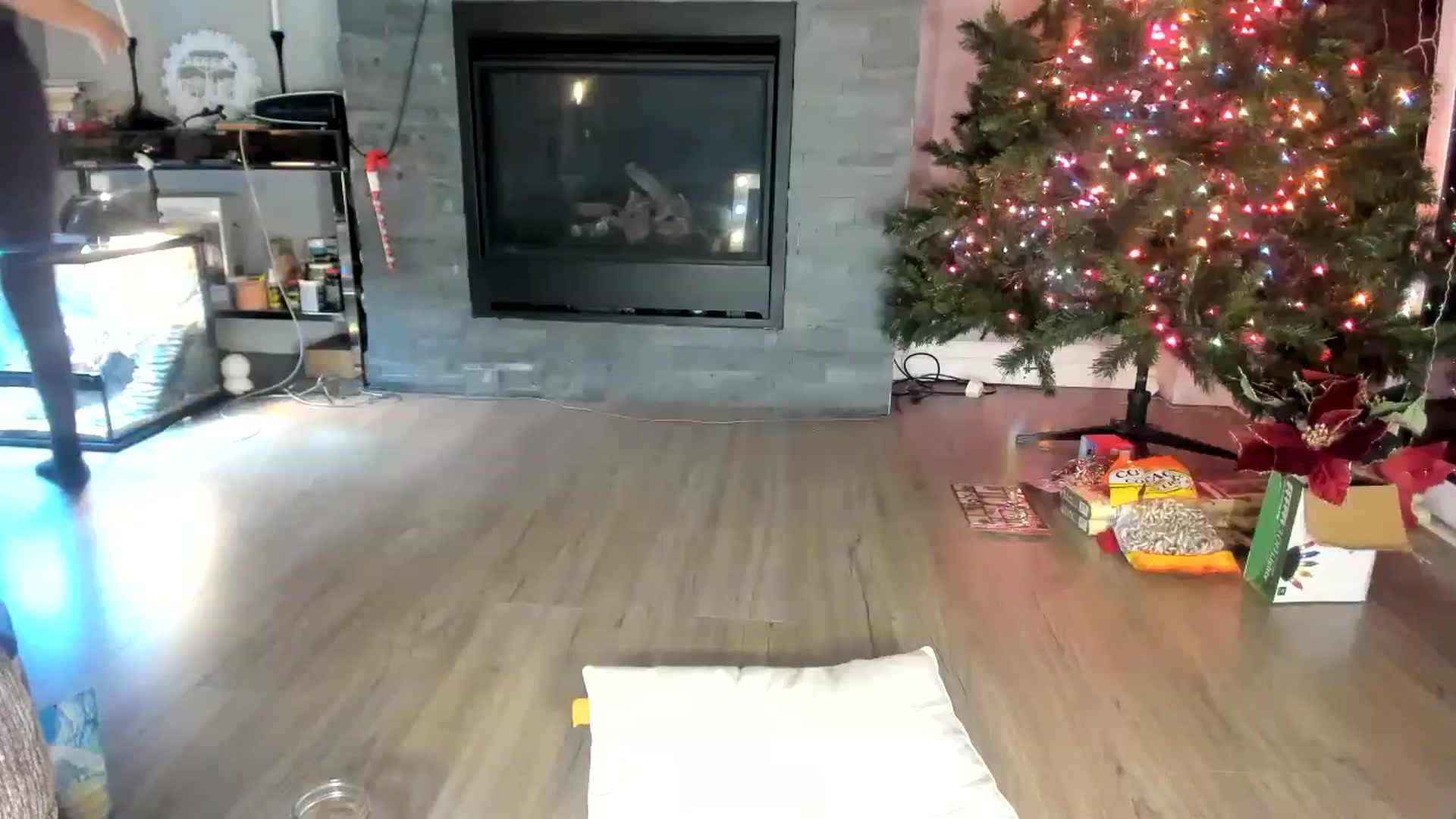 Gallery image thumbnail from Laurel's myfreecams stream on, 12/03/2023, 03:07 image 2 of 20