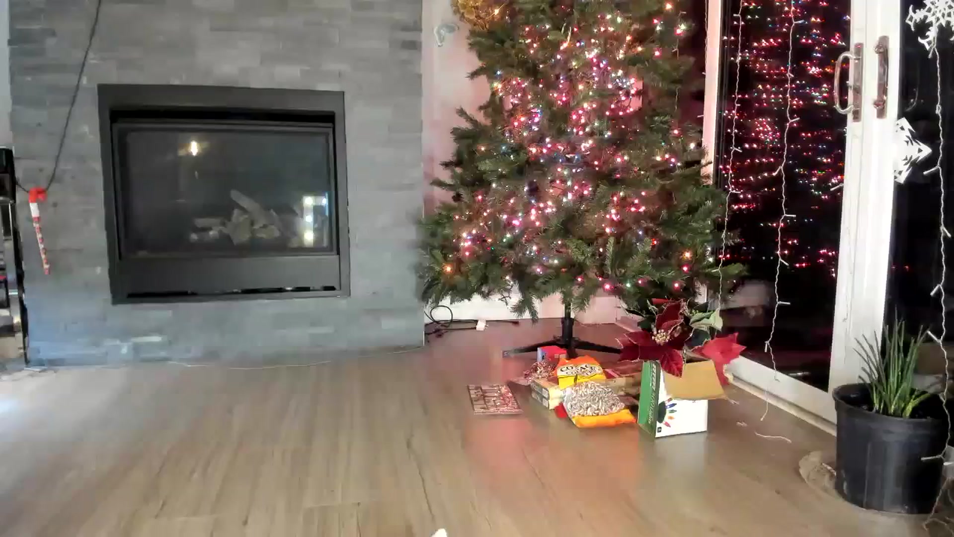 Gallery image thumbnail from Laurel's myfreecams stream on, 12/04/2023, 02:51 image 4 of 20