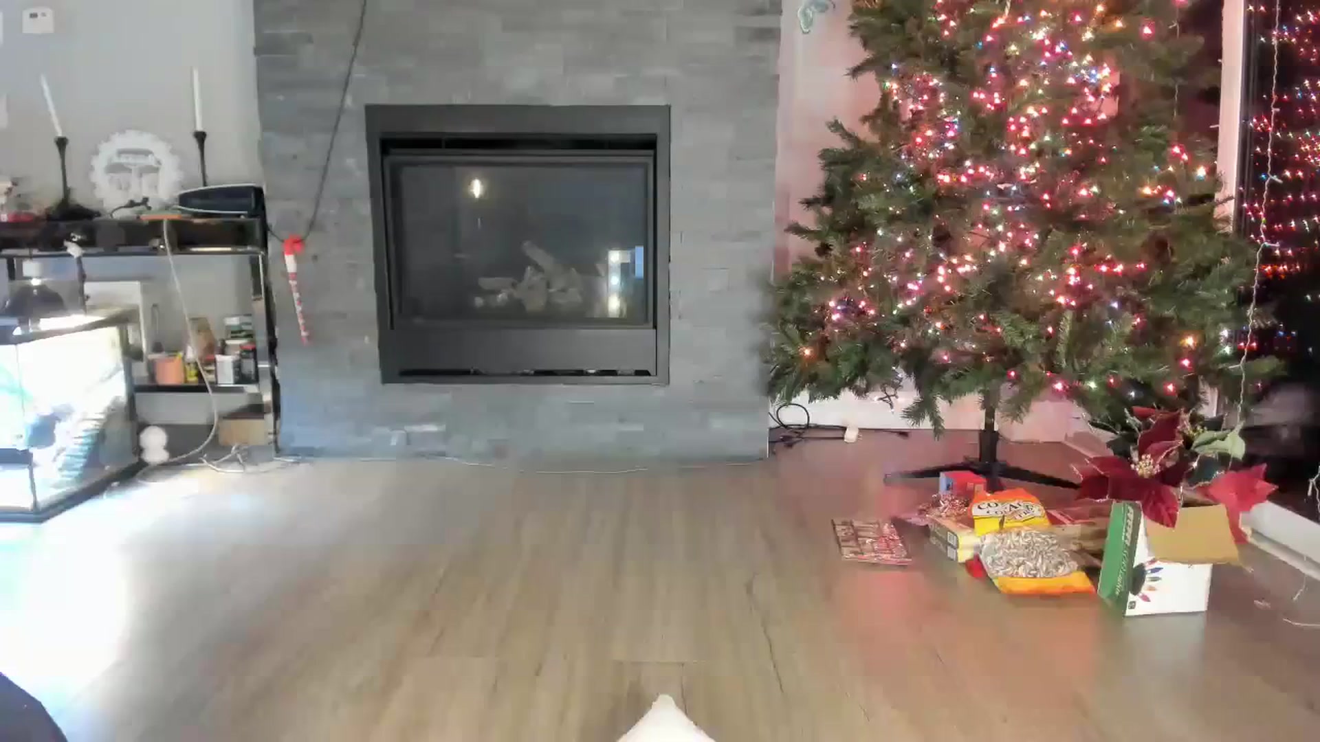 Gallery image thumbnail from Laurel's myfreecams stream on, 12/04/2023, 04:53 image 1 of 20