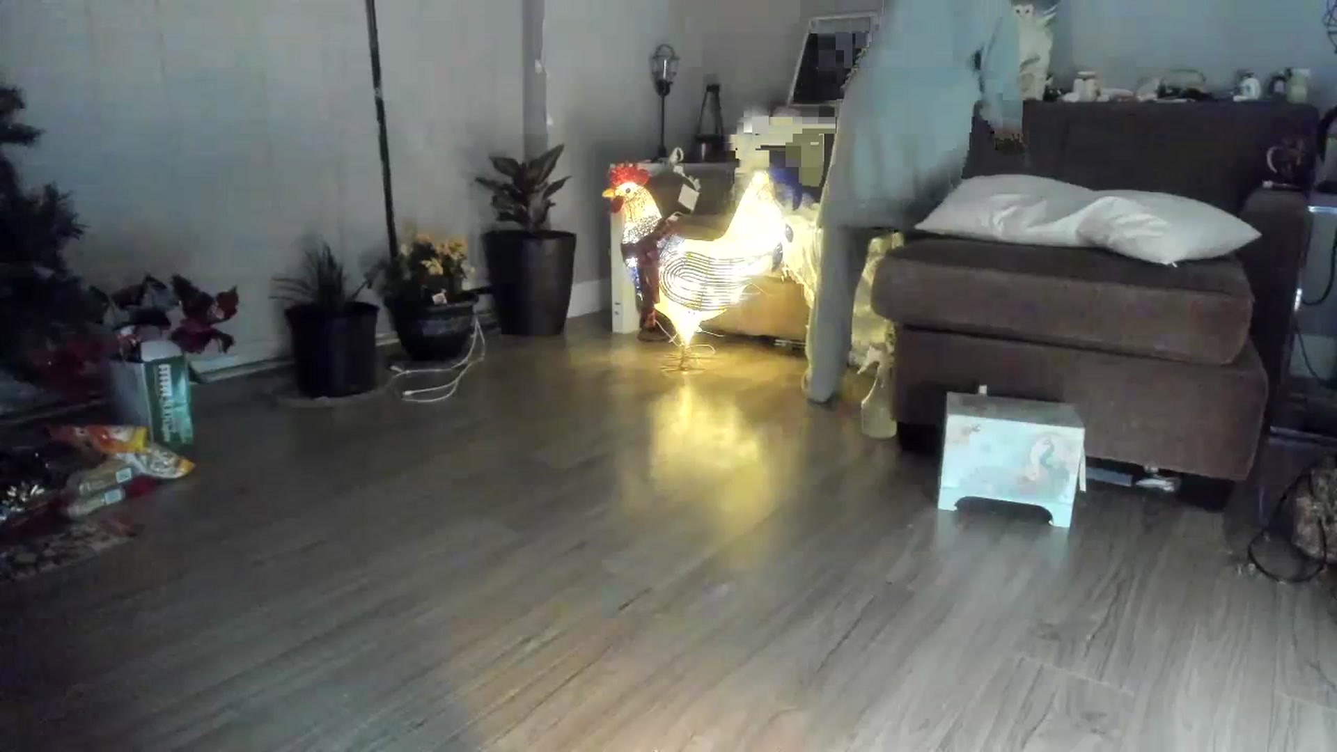 Gallery image thumbnail from Laurel's myfreecams stream on, 12/04/2023, 08:45 image 12 of 20