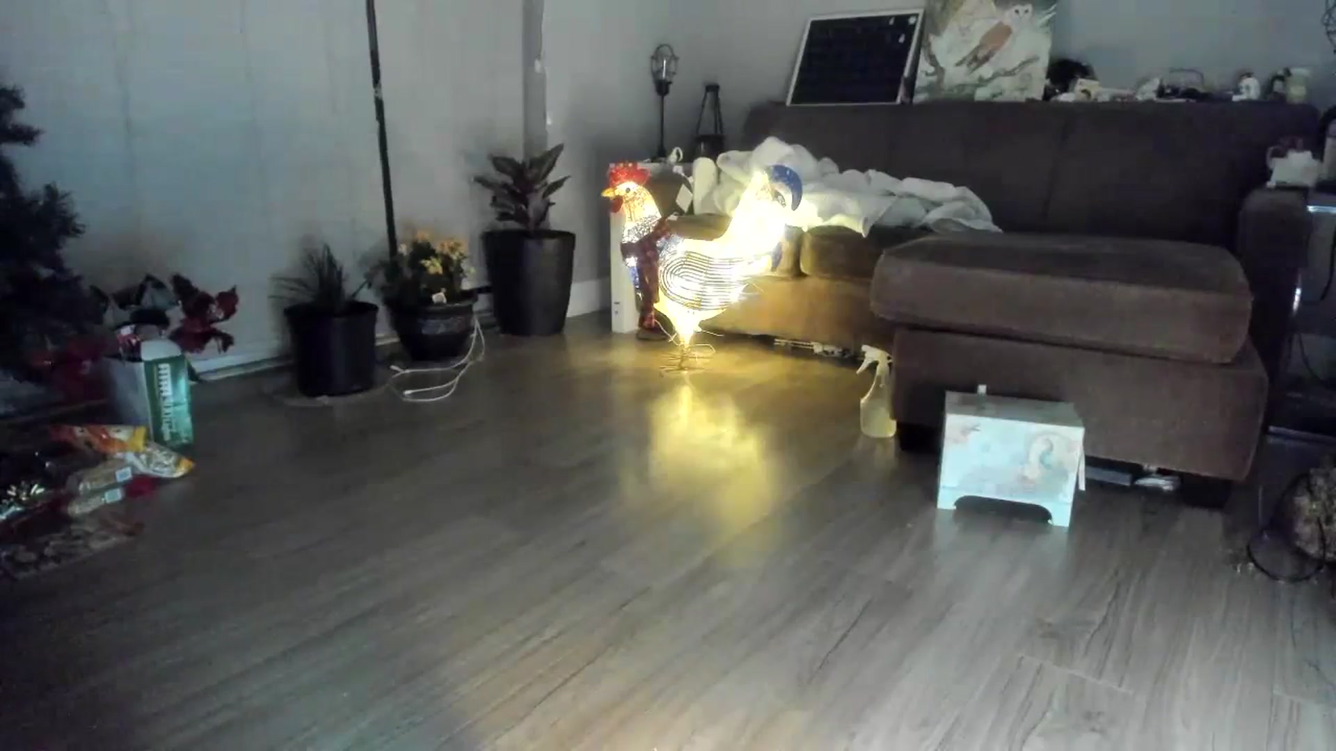 Gallery image thumbnail from Laurel's myfreecams stream on, 12/04/2023, 08:45 image 13 of 20