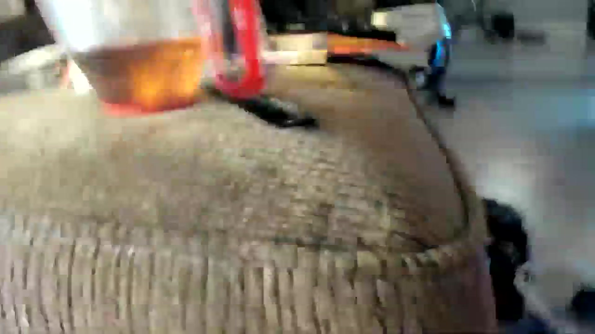Gallery image thumbnail from Laurel's myfreecams stream on, 12/08/2023, 08:18 image 20 of 20