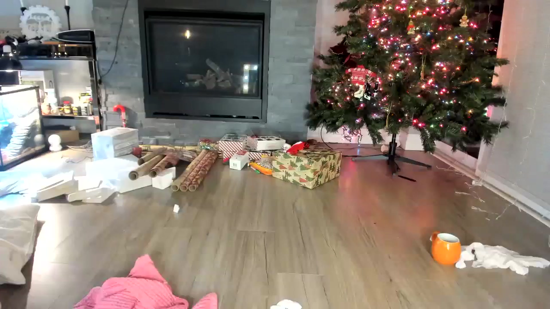 Gallery image thumbnail from Laurel's myfreecams stream on, 12/08/2023, 12:22 image 4 of 20