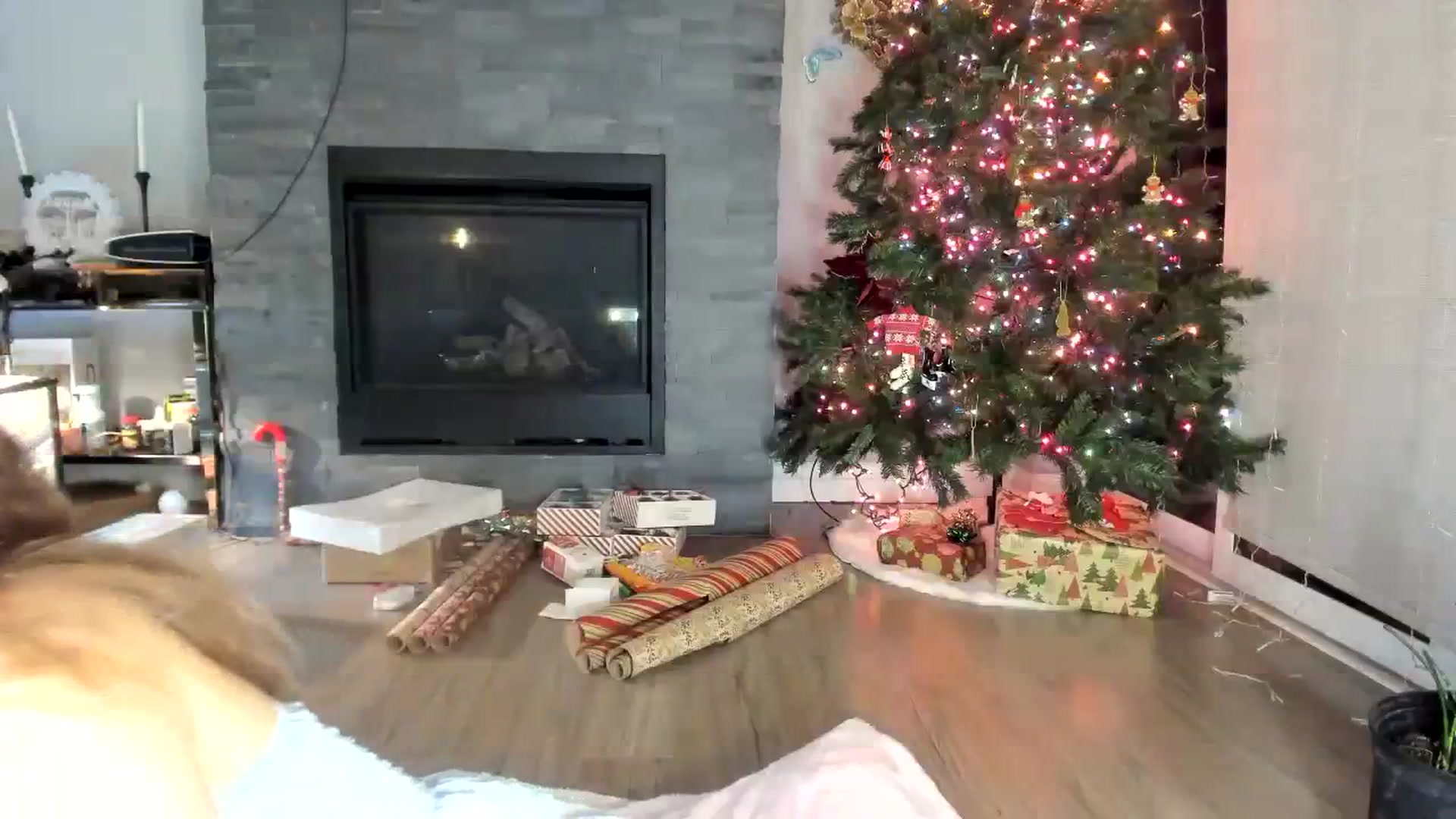 Gallery image thumbnail from Laurel's myfreecams stream on, 12/12/2023, 03:36 image 6 of 20