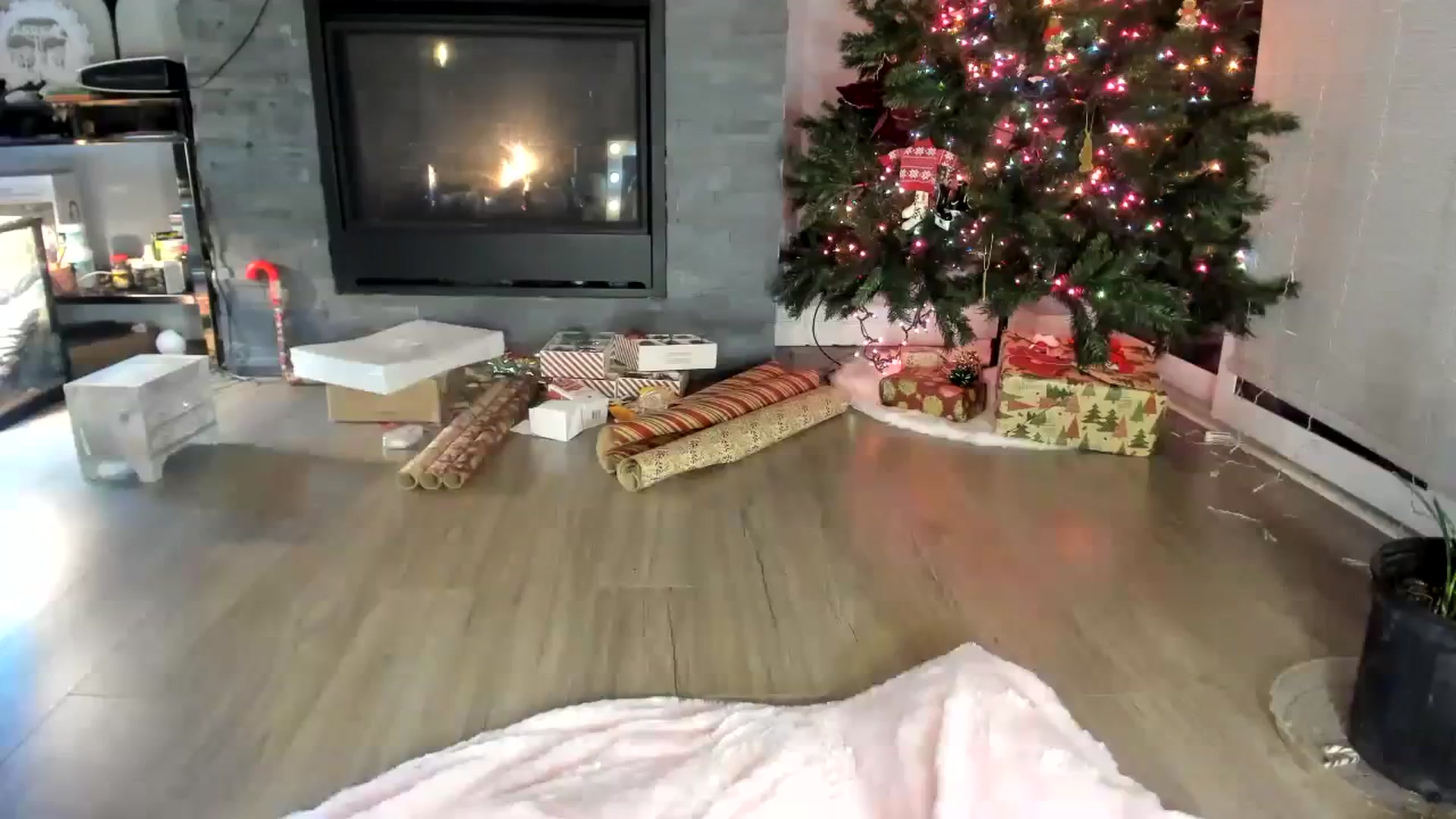 Gallery image thumbnail from Laurel's myfreecams stream on, 12/12/2023, 05:48 image 8 of 20