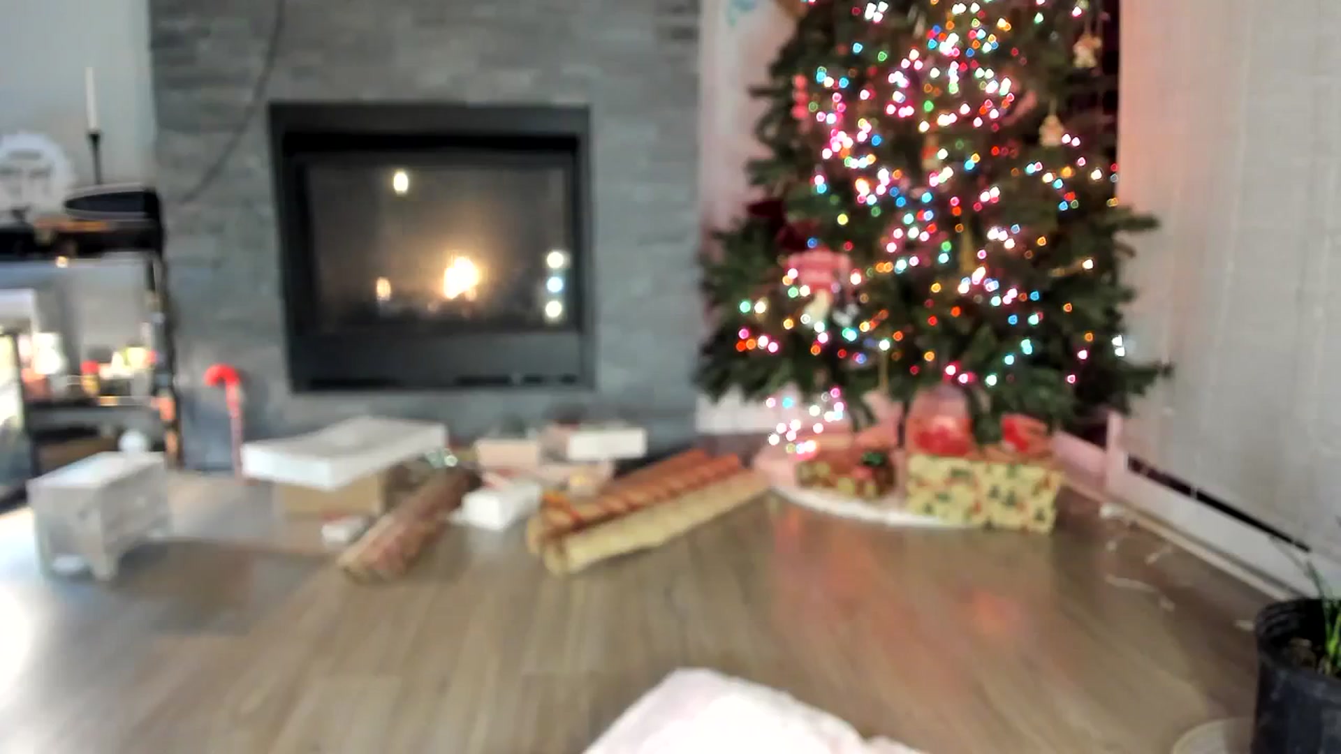 Gallery image thumbnail from Laurel's myfreecams stream on, 12/12/2023, 07:22 image 2 of 20