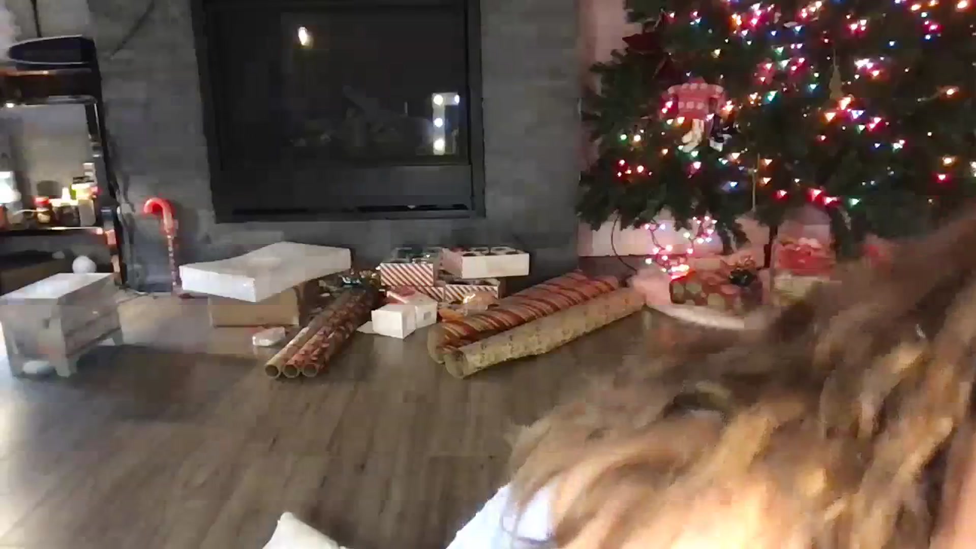 Gallery image thumbnail from Laurel's myfreecams stream on, 12/12/2023, 08:51 image 15 of 20