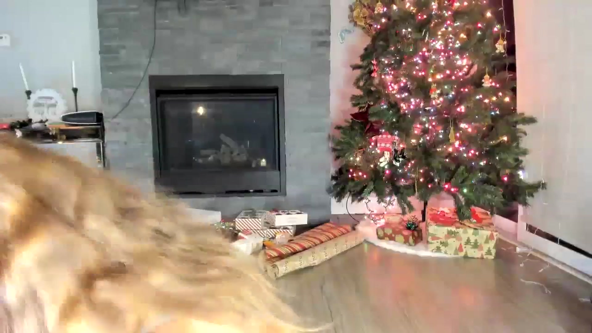 Gallery image thumbnail from Laurel's myfreecams stream on, 12/12/2023, 09:09 image 16 of 20