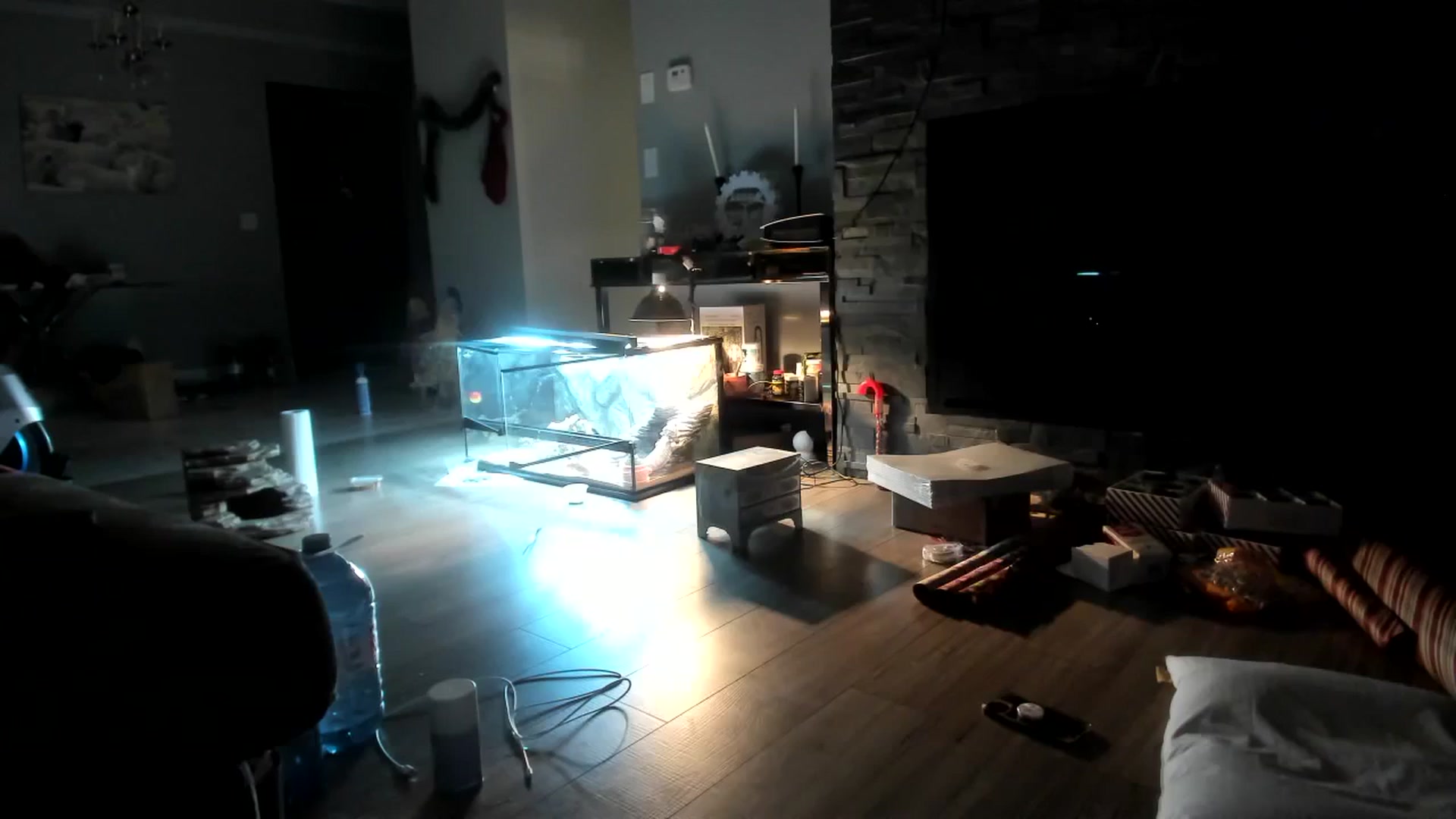 Gallery image thumbnail from Laurel's myfreecams stream on, 12/12/2023, 10:57 image 9 of 20