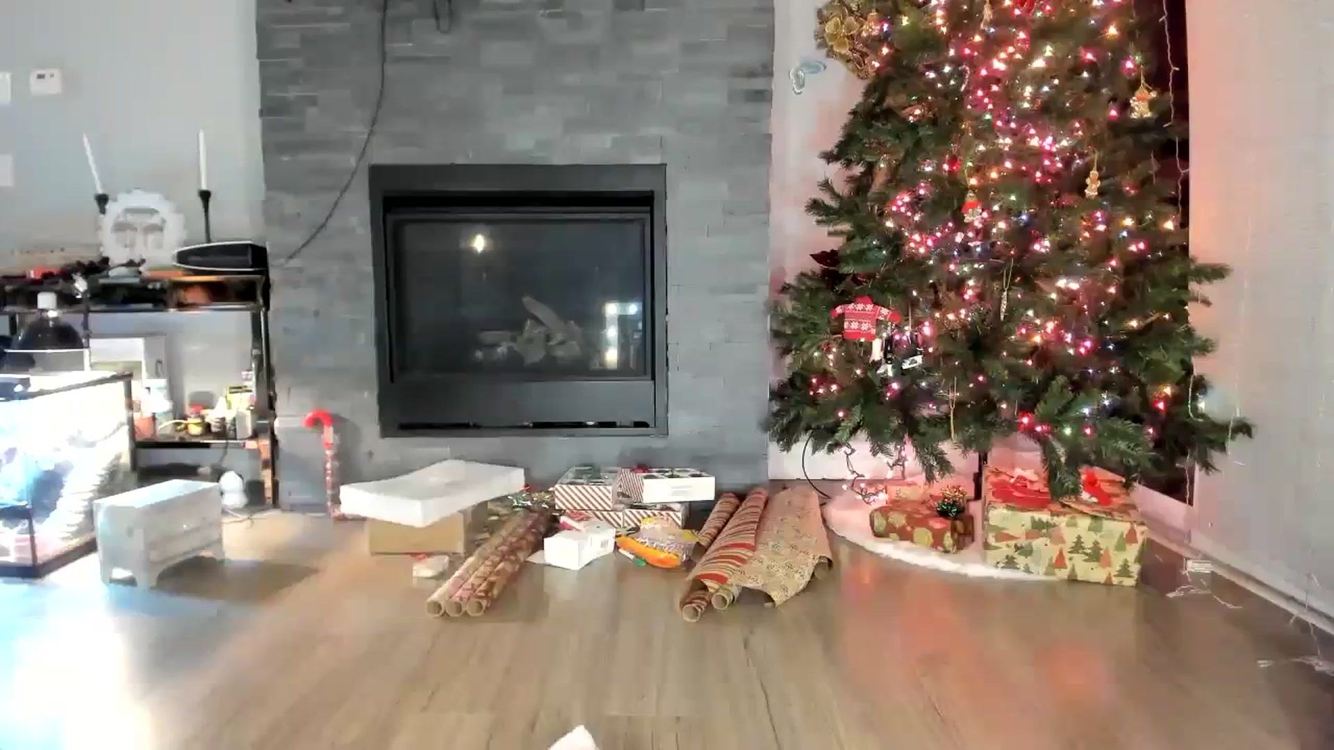 Gallery image thumbnail from Laurel's myfreecams stream on, 12/14/2023, 04:22 image 3 of 20