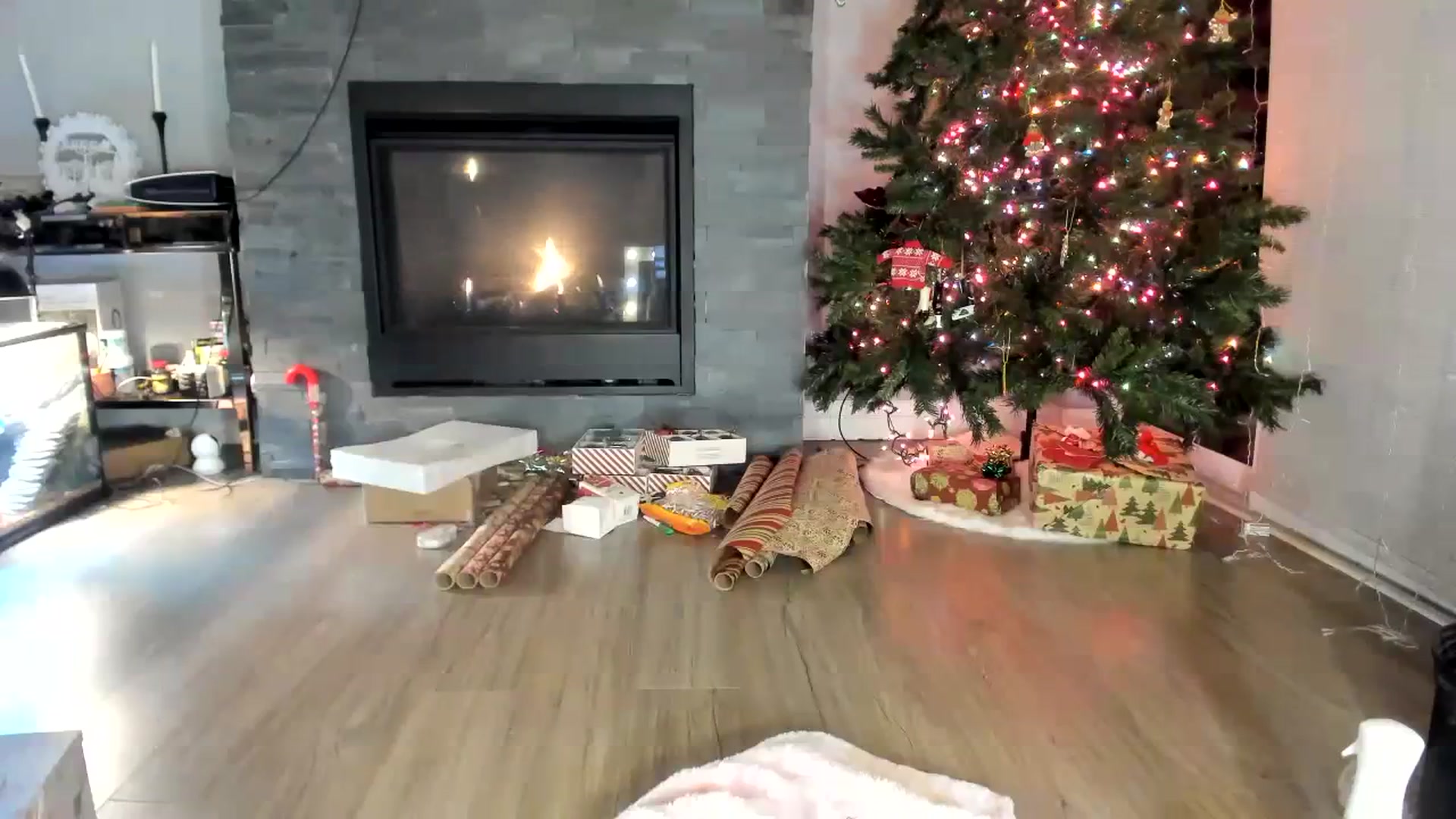 Gallery image thumbnail from Laurel's myfreecams stream on, 12/14/2023, 06:26 image 14 of 20