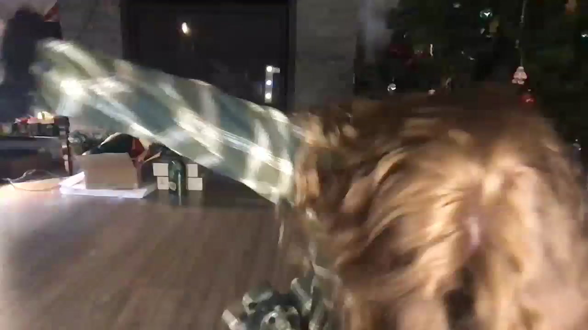 Gallery image thumbnail from Laurel's myfreecams stream on, 01/03/2024, 08:30 image 16 of 20
