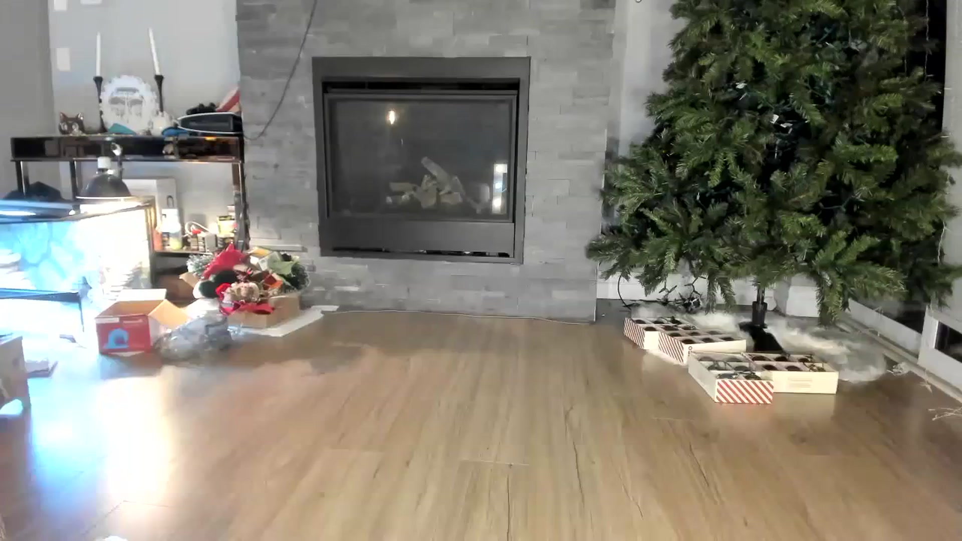 Gallery image thumbnail from Laurel's myfreecams stream on, 01/06/2024, 04:22 image 10 of 20