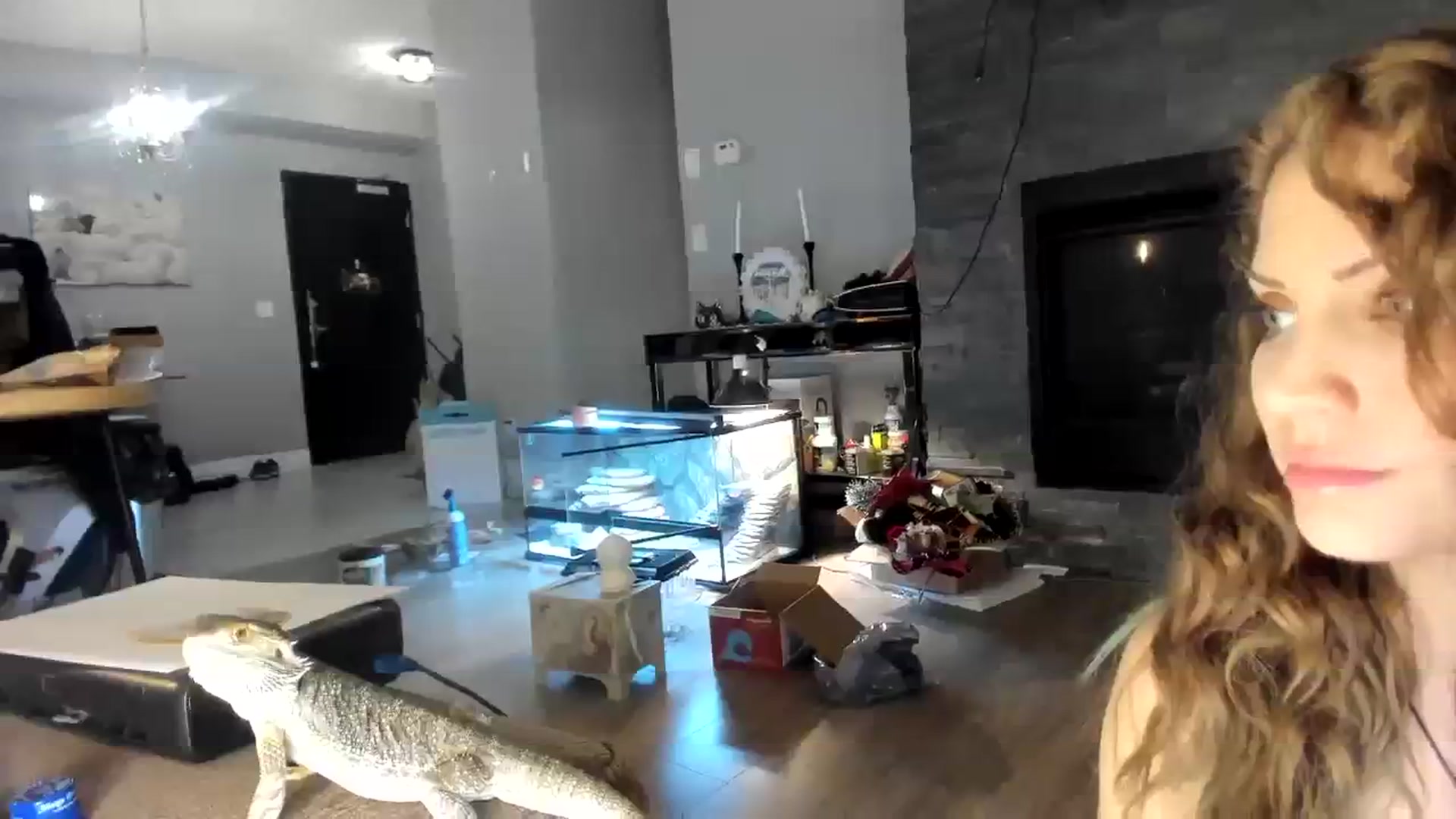 Gallery image thumbnail from Laurel's myfreecams stream on, 01/06/2024, 04:22 image 17 of 20