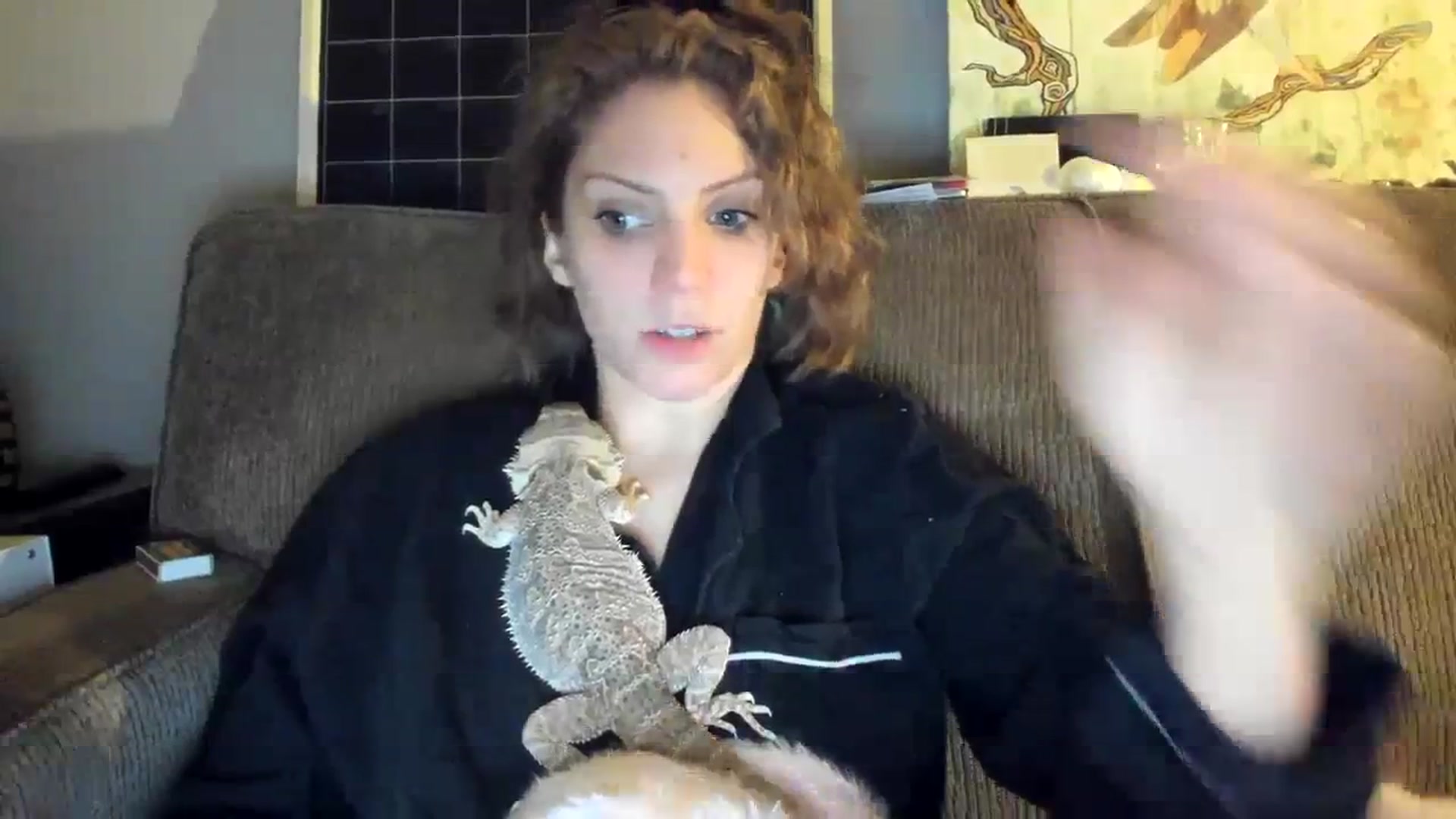 Gallery image thumbnail from Laurel's myfreecams stream on, 01/06/2024, 09:36 image 10 of 20