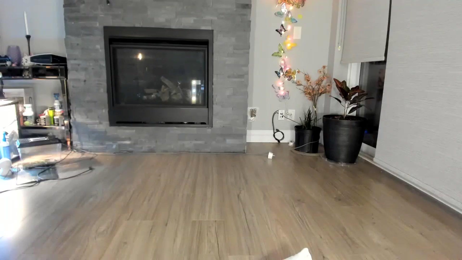Gallery image thumbnail from Laurel's myfreecams stream on, 01/12/2024, 06:53 image 5 of 20
